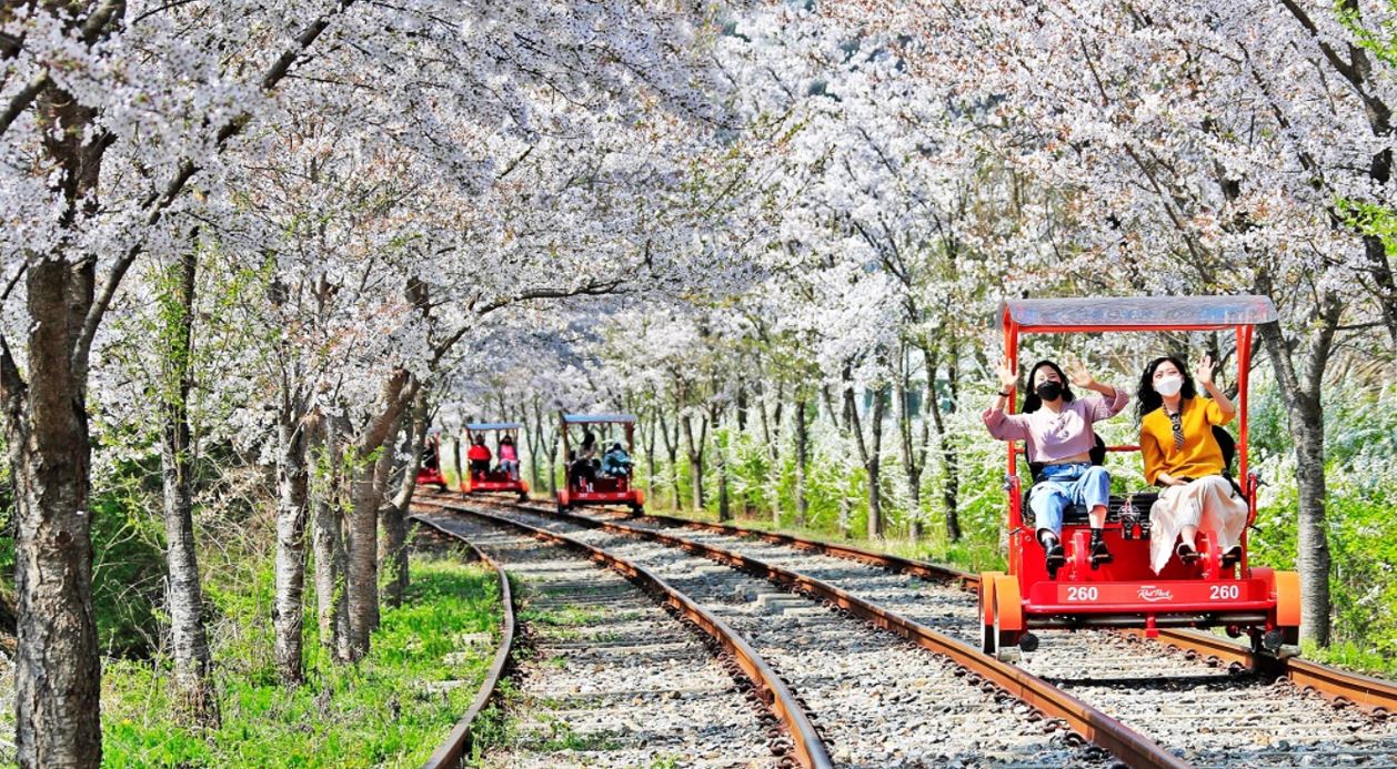韓國鐵道自行車體驗 — 穿越絕美鄉村風景！ 踩著鐵道自行車沿著特色鐵軌前行，欣賞壯麗的山景與河畔風光，在輕鬆騎行中感受韓國自然美景與鄉村魅力。