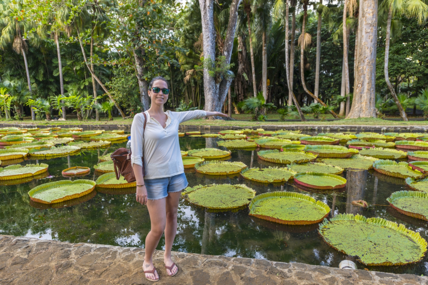 Explore the Best of Mauritius: Guided Full Day Tour in Private Car