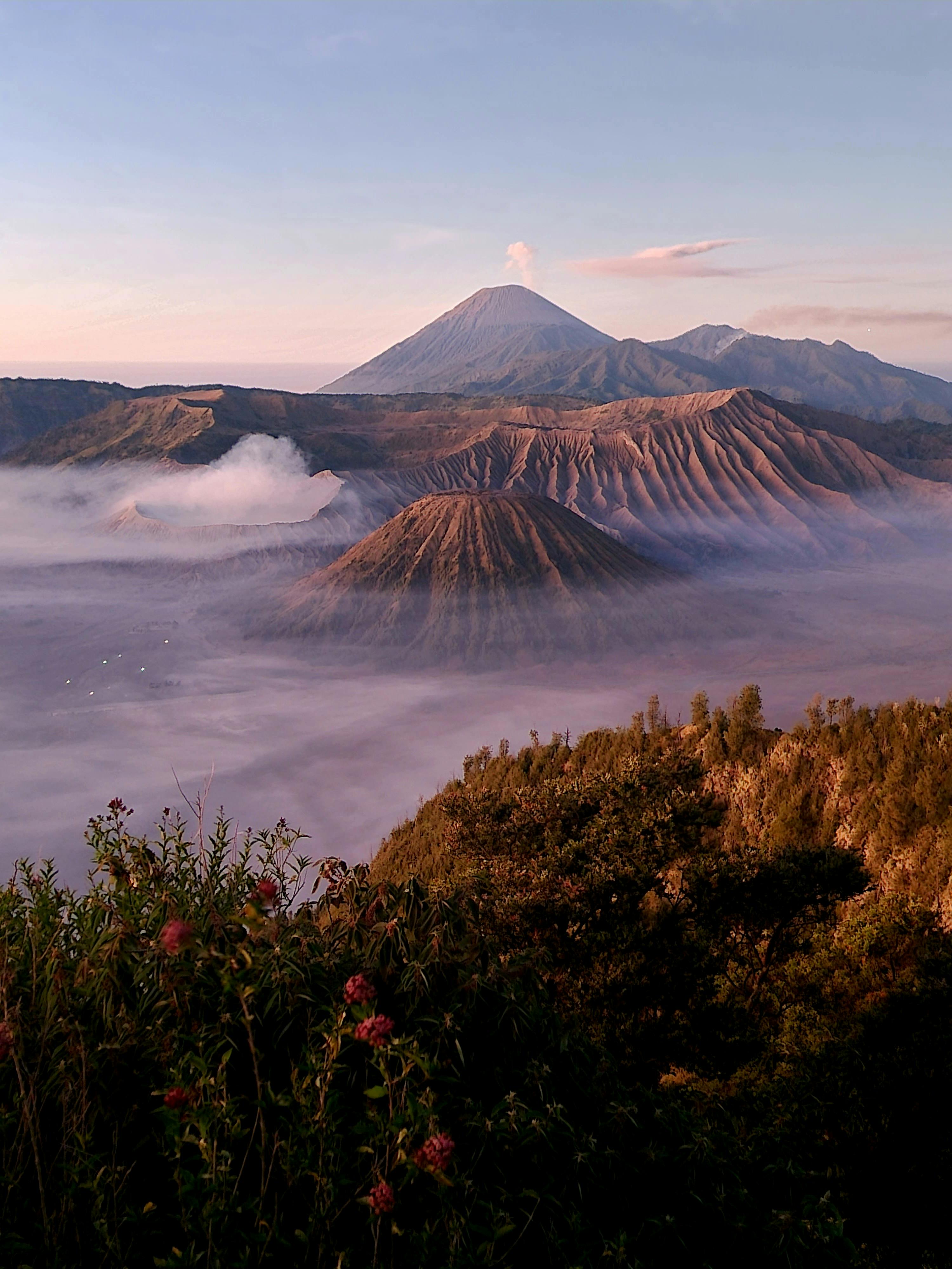 Multiday Sharing Tour to Mount Bromo & Ijen from Surabaya