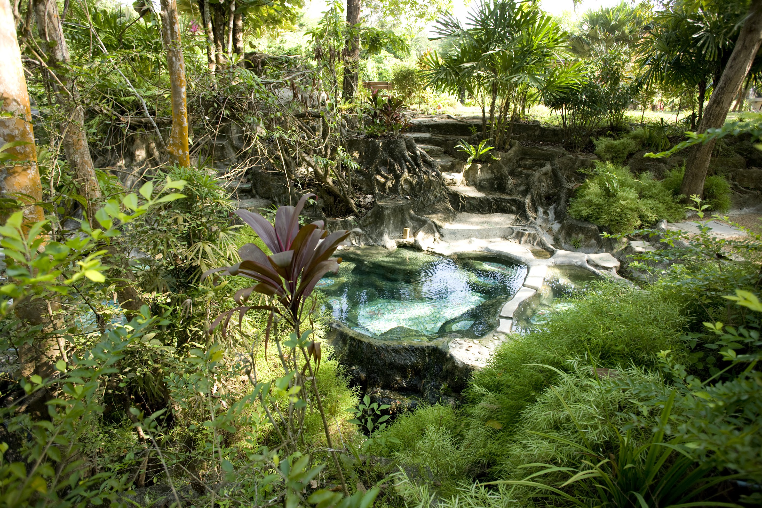 翡翠湖 & Wareerak Hotspring泰式溫泉 & 甲米大象保護區探索一日遊（甲米出發）