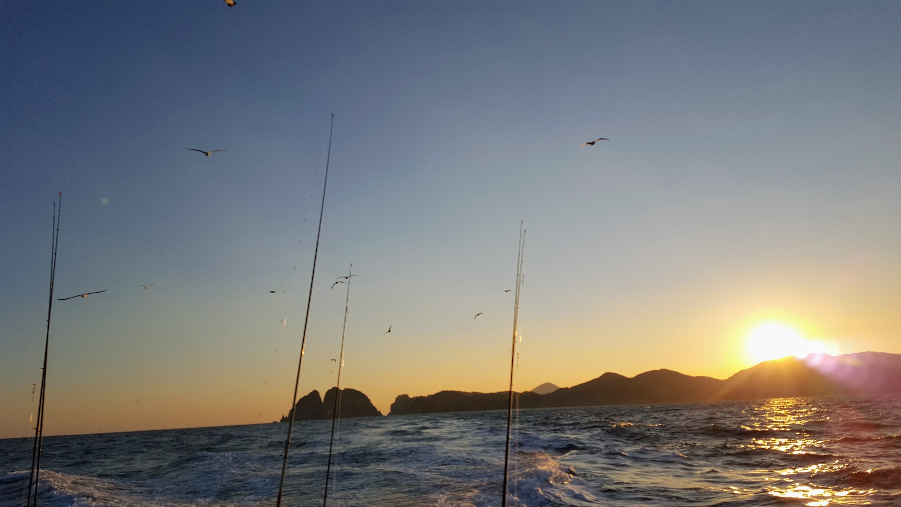 魚釣り体験（巨済島）