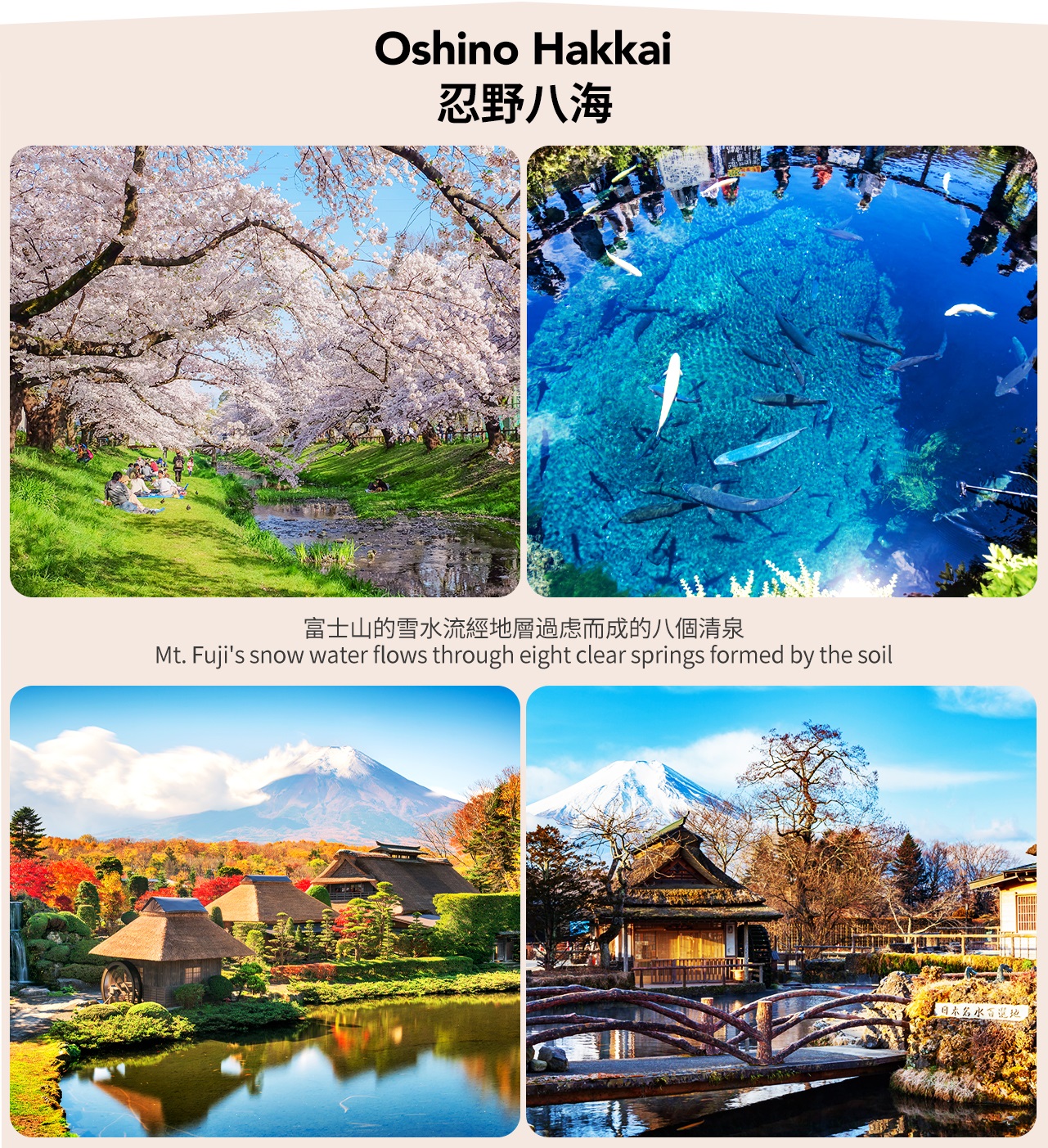 【富士山網紅五大美景攝影之旅】新倉山淺間公園or天梯小鎮&忍野八海&河口湖&羅森&麥當勞網紅打卡一日遊（東京出發）