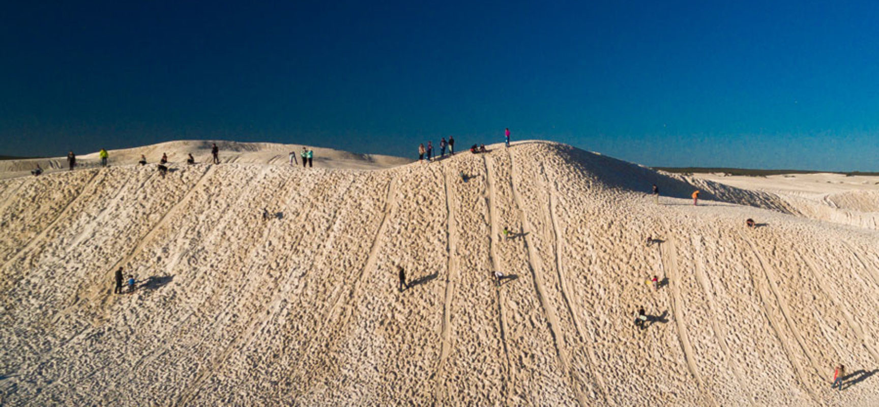 Perth Yanchep & Lancelin Private Full-Day Tour