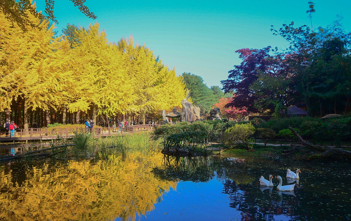 海棠鳥園 / 南怡島 / 鐵道自行車 / 晨靜樹木園 / 快樂草原農場
