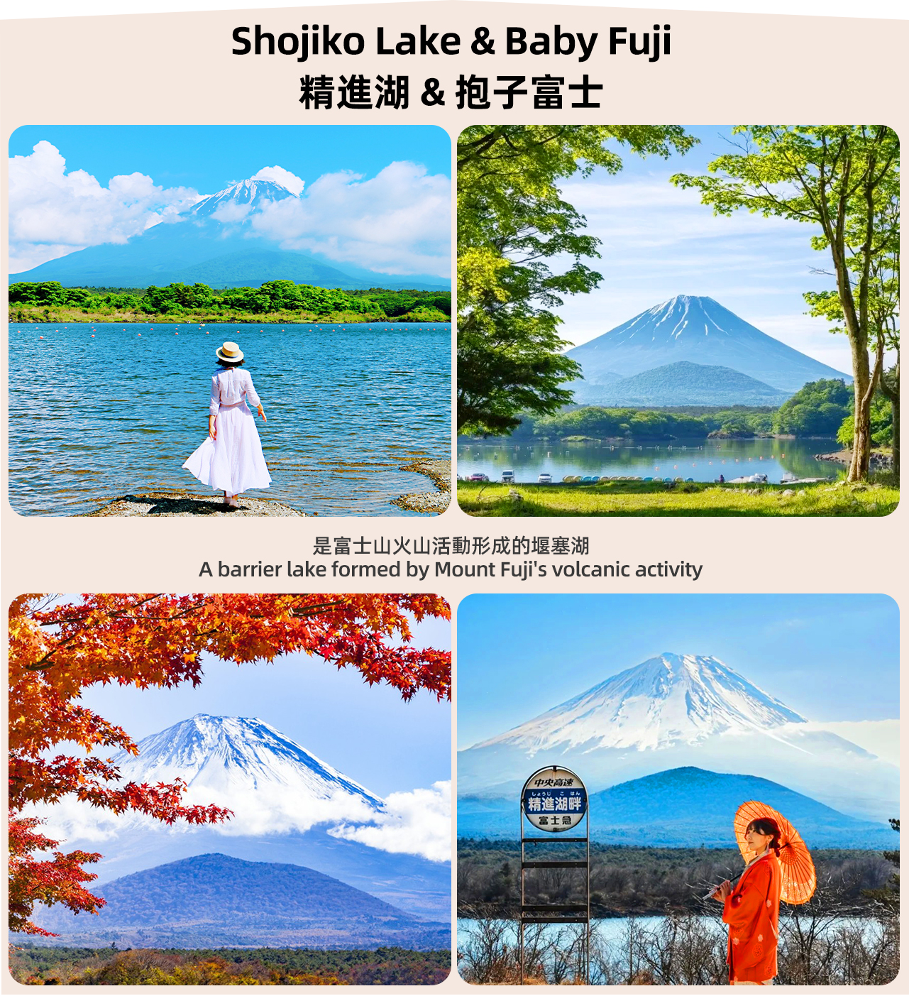 【富士三湖】河口湖&山中湖&精進湖&抱子富士&網紅天梯小鎮&忍野八海一日遊（東京出發）
