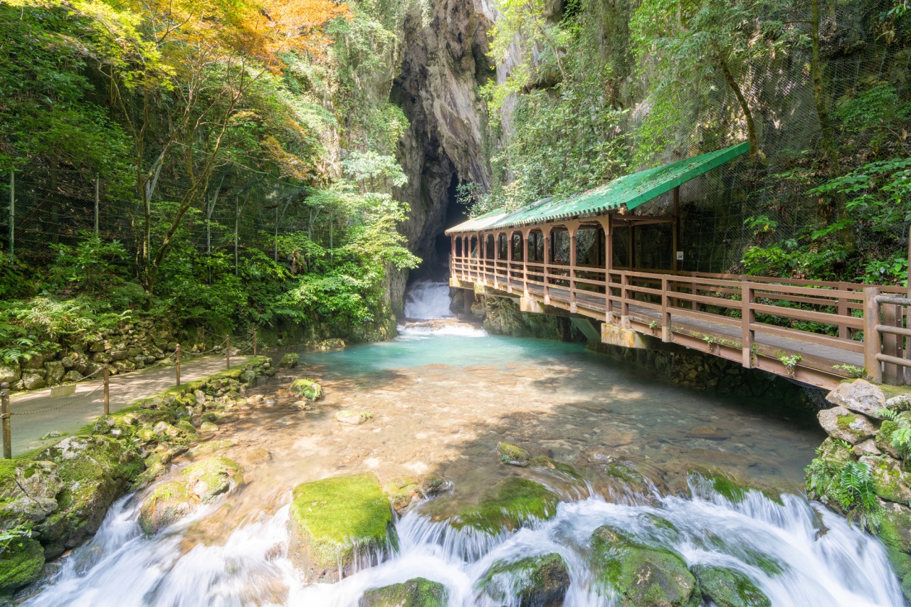 【夏日推薦】山口秘境一日遊｜秋芳洞 × 元乃隅稲成神社 × 角島大橋 × 和布刈展望｜福岡出發
