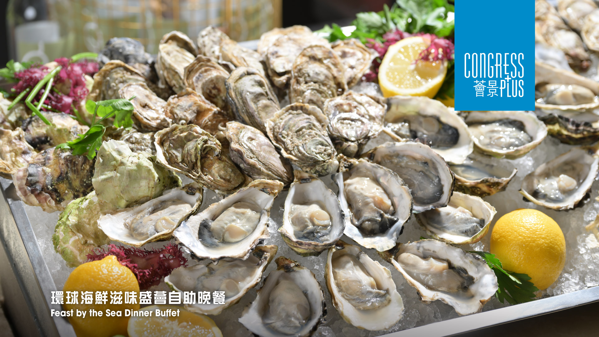 灣仔會展中心 - 薈景｜假日海鮮自助午餐及海鮮自助晚餐＋無限暢飲｜海景半自助午餐｜酒店自助餐優惠2025