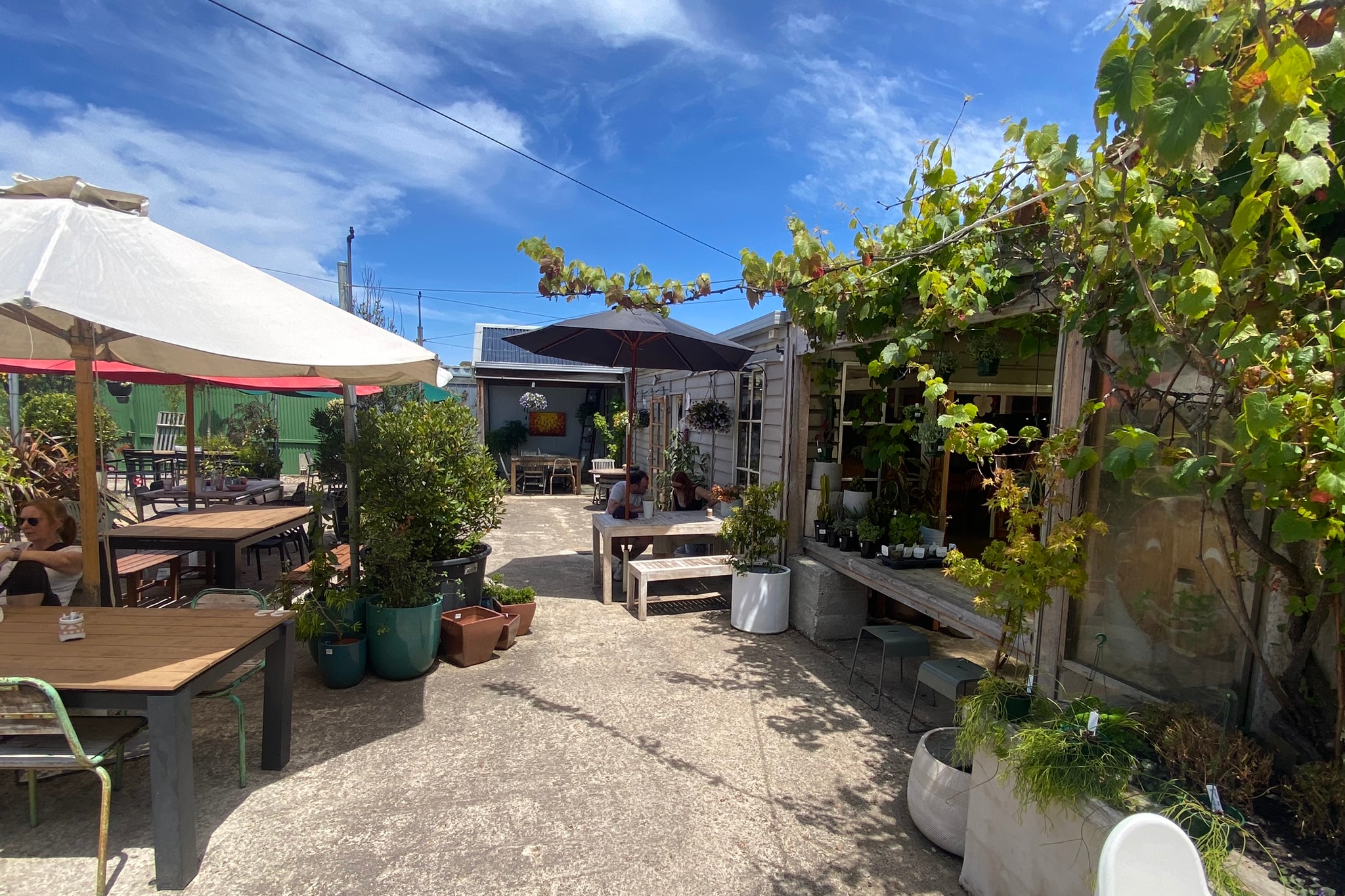 (2 Days) Wellbeing and Wildlife Great Ocean Road Experience