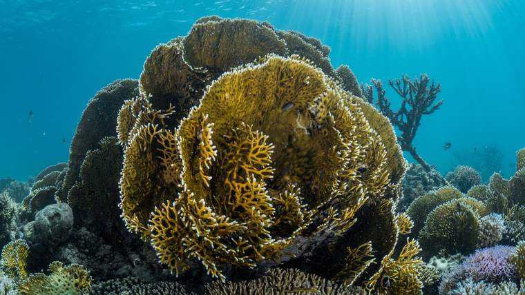 Поездка на остров Аль-Ахбар