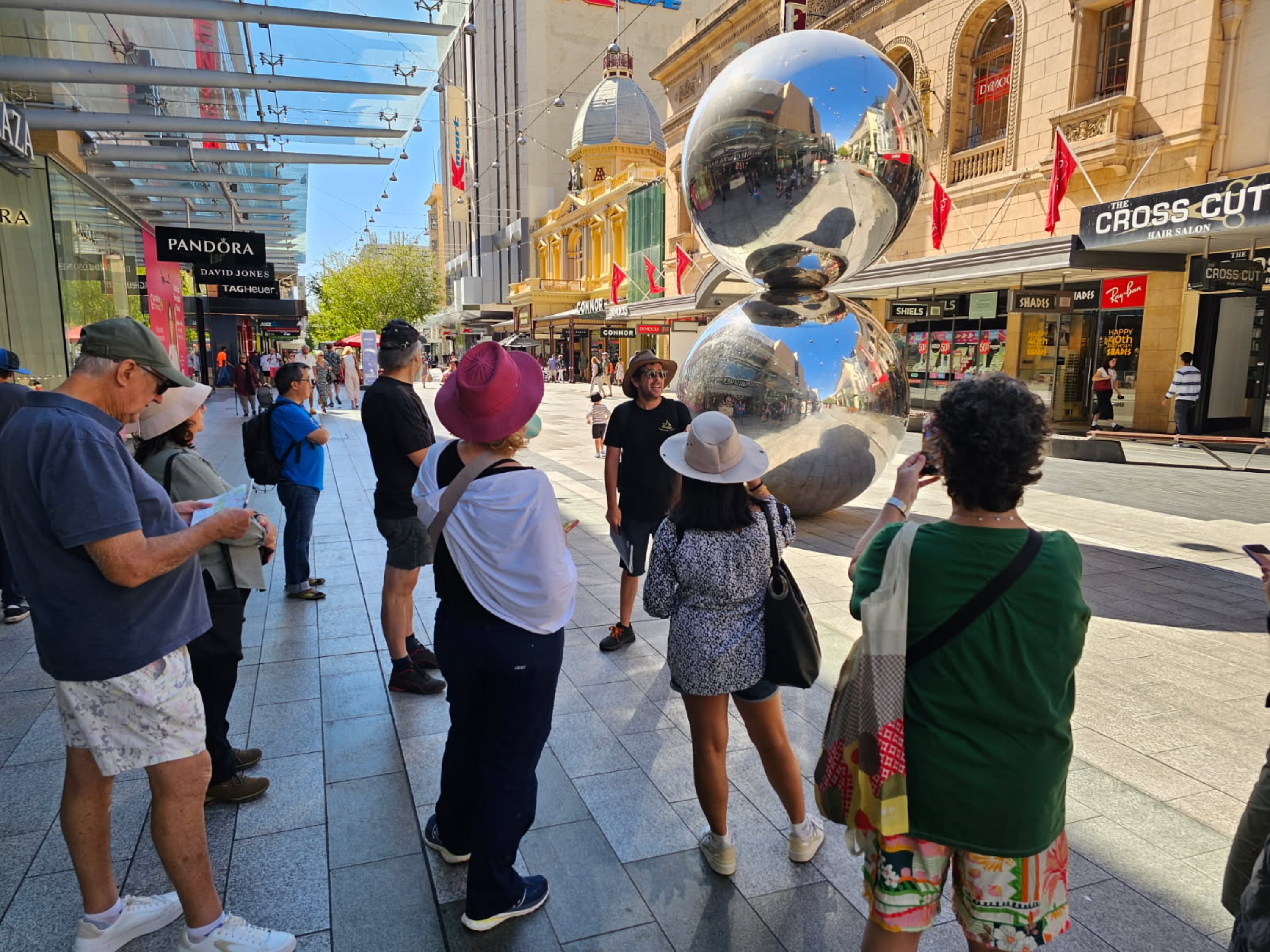 Adelaide City Half-Day Small Group Cultural Tour