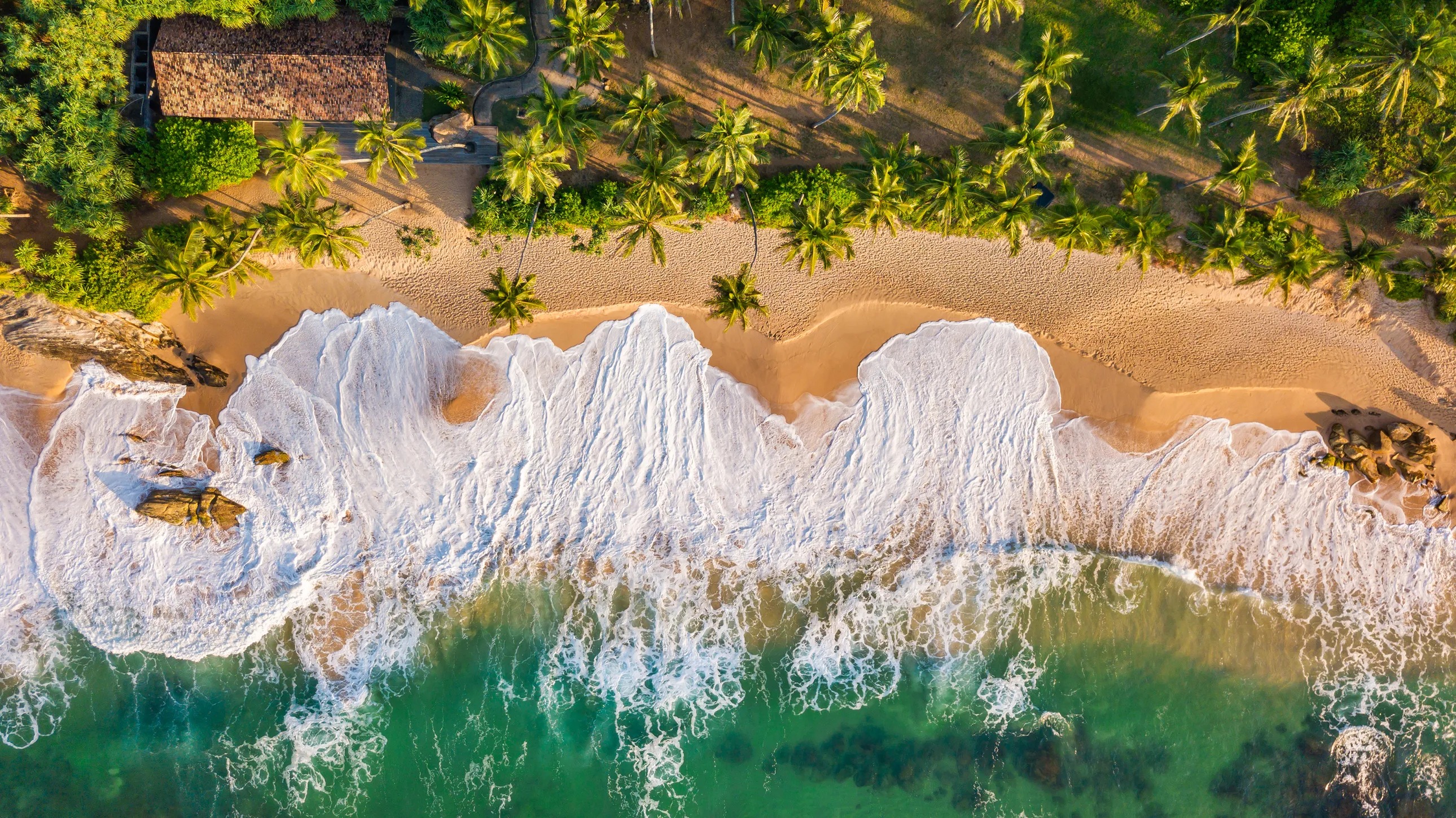 Explore the MAGIC of Sri Lanka in 7days -4 Star hotels Included