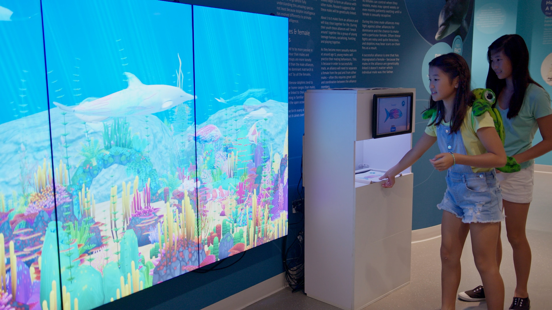 班伯利 Dolphin Discovery Centre 門票