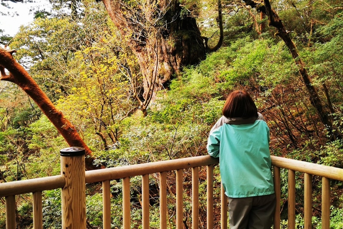屋久島徒步之旅