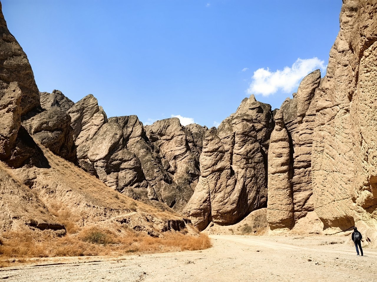 這是黃河石林景區。棕褐色的石林巍峨聳立,石柱如利劍直插雲霄,表面佈滿風蝕褶皺,紋理粗獷而蒼勁。陡峭巖壁形成狹長峽谷,地面覆蓋沙土與稀疏乾草,更顯荒涼質感。畫面右下角的人物渺小如蟻,反襯出石林規模的恢弘磅礴。湛藍天空僅綴一朵白雲,與暖色調石林形成鮮明碰撞,整體畫面充滿野性張力,盡顯西北地貌的壯美與寂寥。 這是黃河石林景區。棕褐色的石林巍峨聳立,石柱如利劍直插雲霄,表面佈滿風蝕褶皺,紋理粗獷而蒼勁。陡峭巖壁形成狹長峽谷,地面覆蓋沙土與稀疏乾草,更顯荒涼質感。畫面右下角的人物渺小如蟻,反襯出石林規模的恢弘磅礴。湛藍天空僅綴一朵白雲,與暖色調石林形成鮮明碰撞,整體畫面充滿野性張力,盡顯西北地貌的壯美與寂寥。