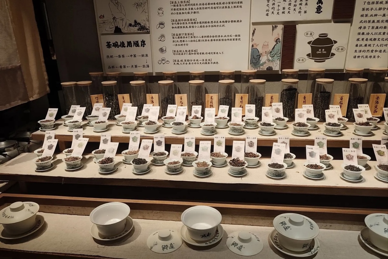 探索各式頂級好茶，為您的火鍋體驗找到最完美的搭配