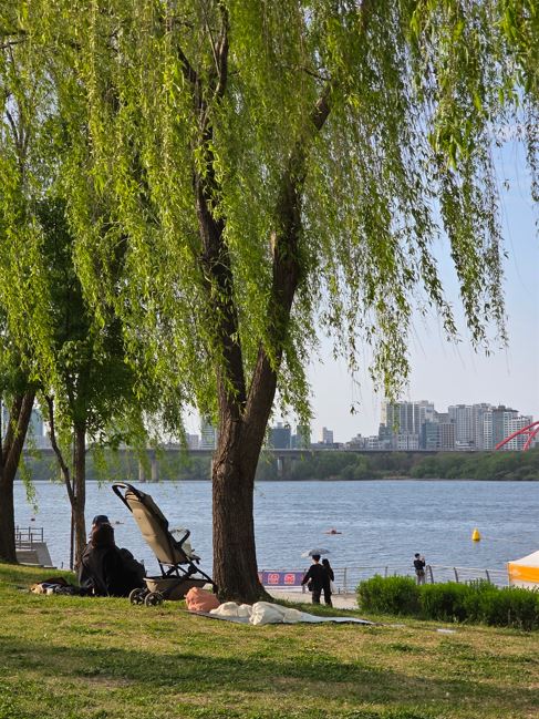 Seongsu Station & Ttukseom Hangang Park Half-day River & Hidden Gems Tour