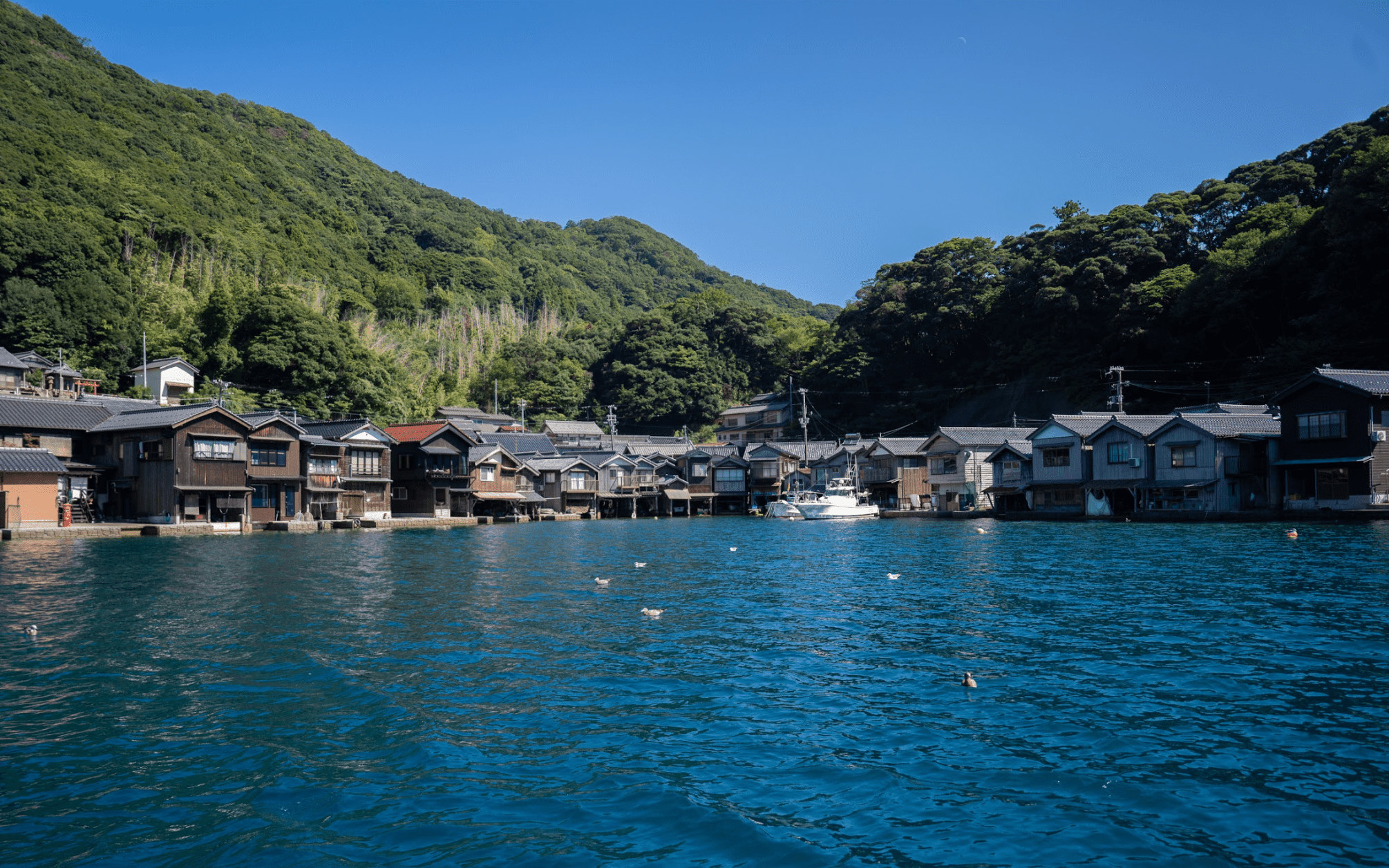 Kyoto Ine & Amanohashidate Full-Day Bus Tour