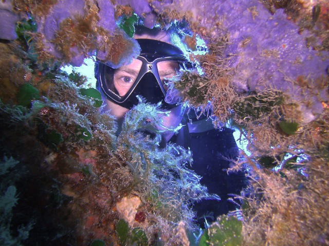 米科諾斯休閒潛水體驗（PADI五星級潛水度假村）