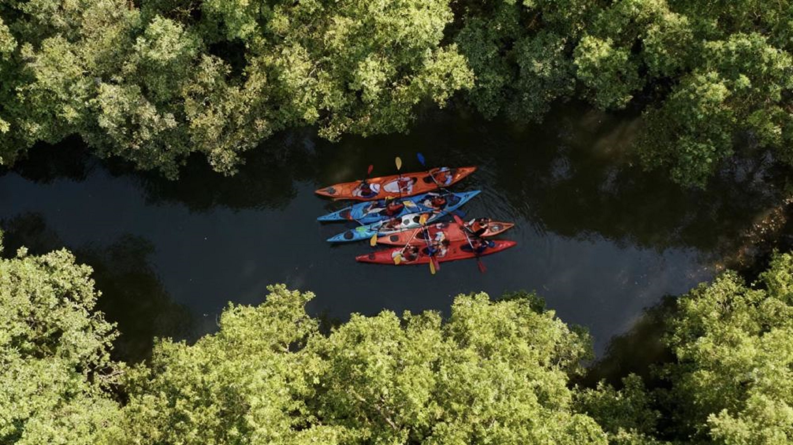 Shanghai Donbon Kayak Outdoor Sports Base (Kayak + Paddleboard)
