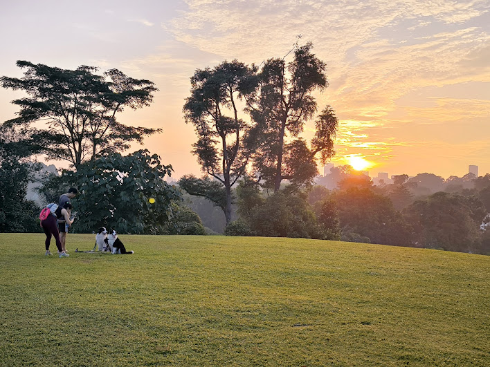 Sunrise Walking Tour with Breakfast