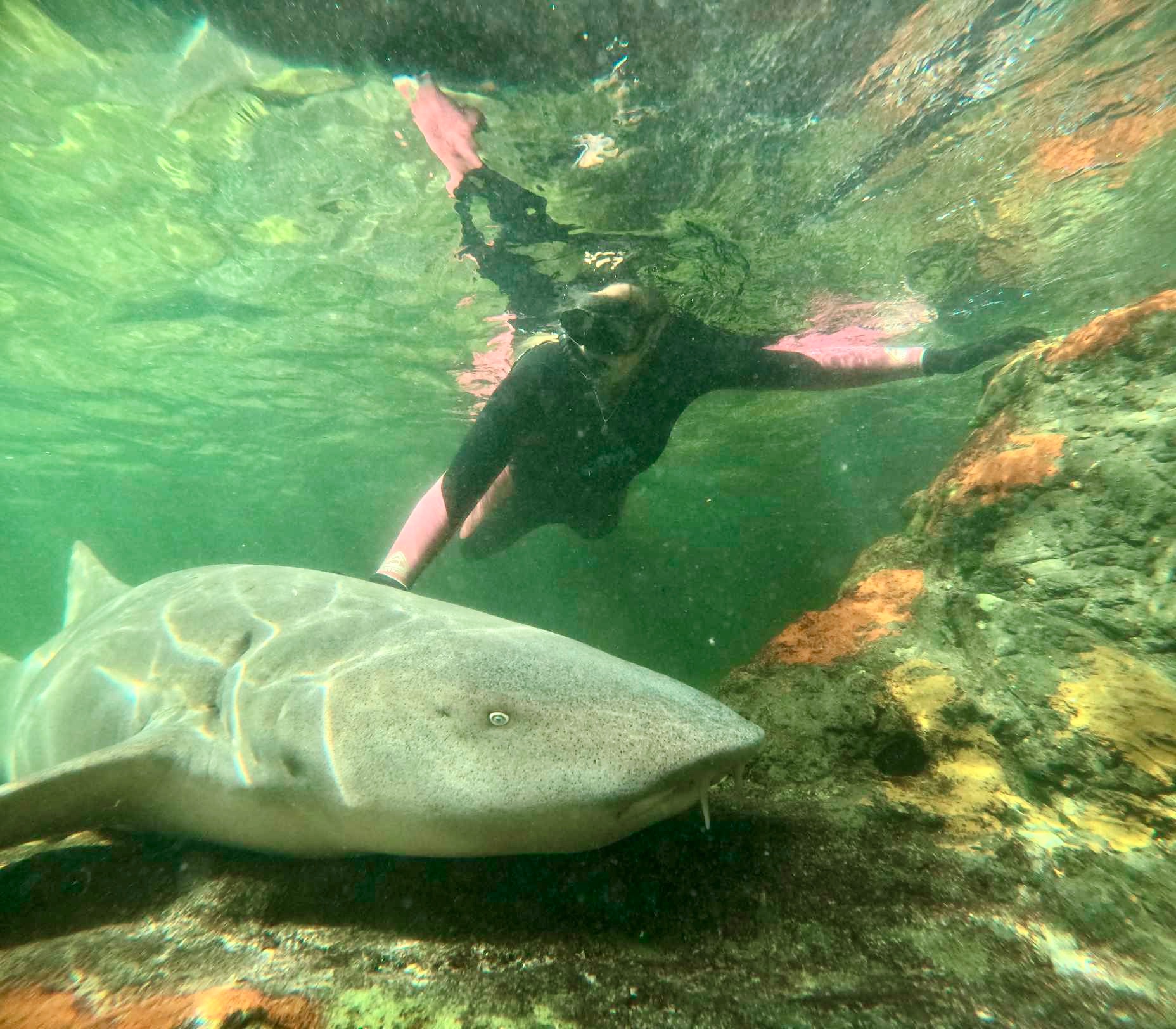 Irukandji Shark & Ray Encounters 水族館門票