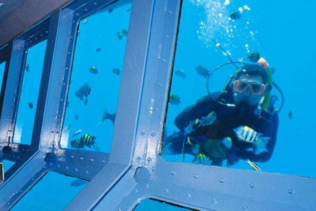 Panoramic Glass Bottom Boat Experience in Sharm El Sheikh 