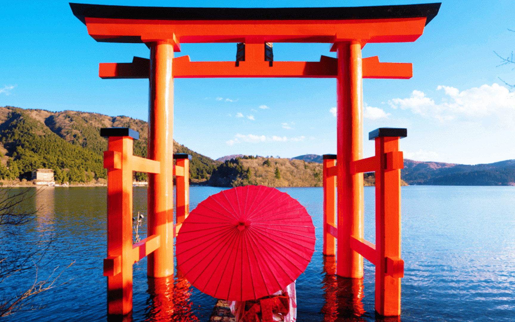 Tokyo Mt. Fuji & Hakone Full-Day Cruise Tour