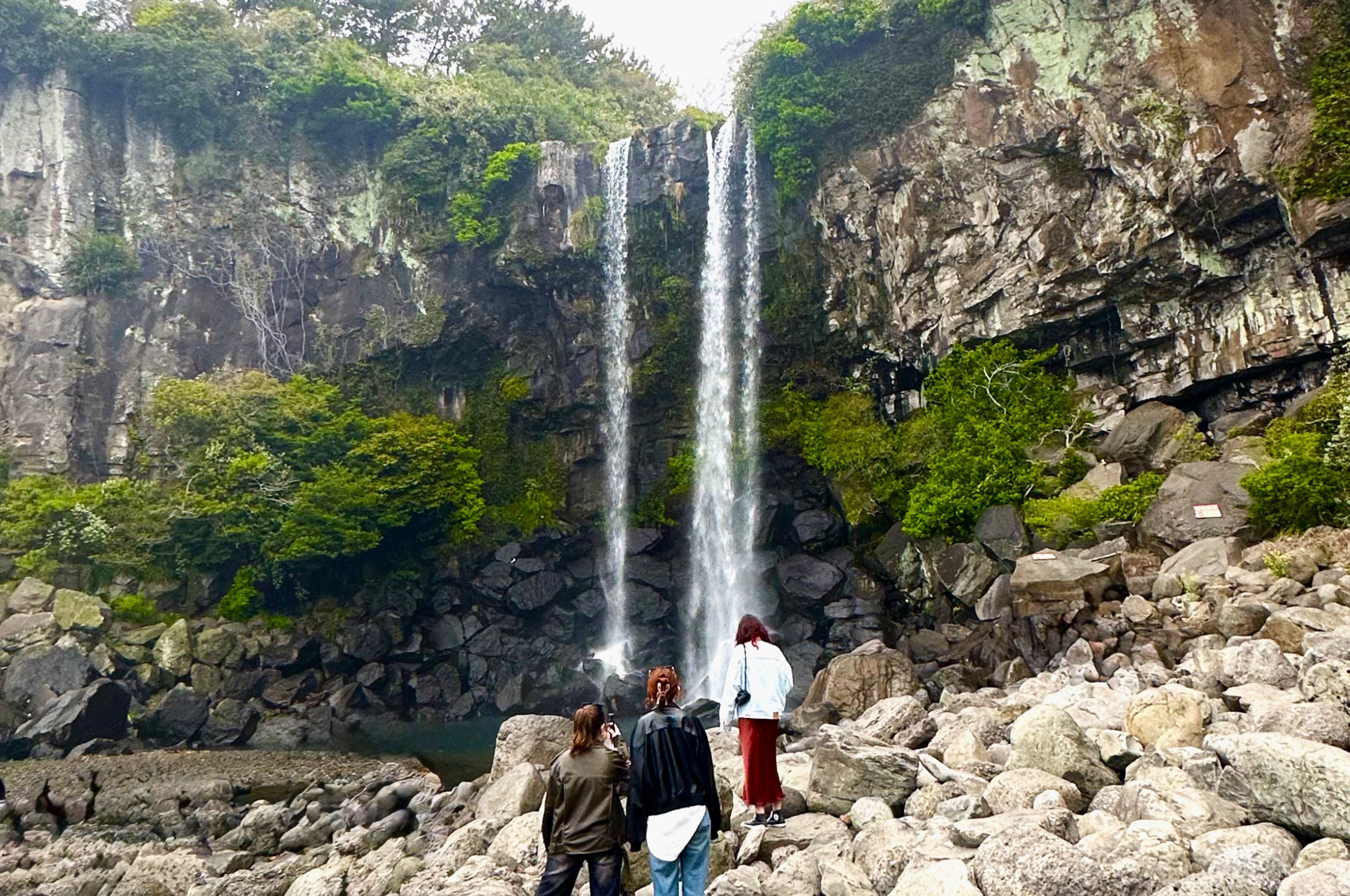 濟州賞櫻及草莓採摘小團一日遊