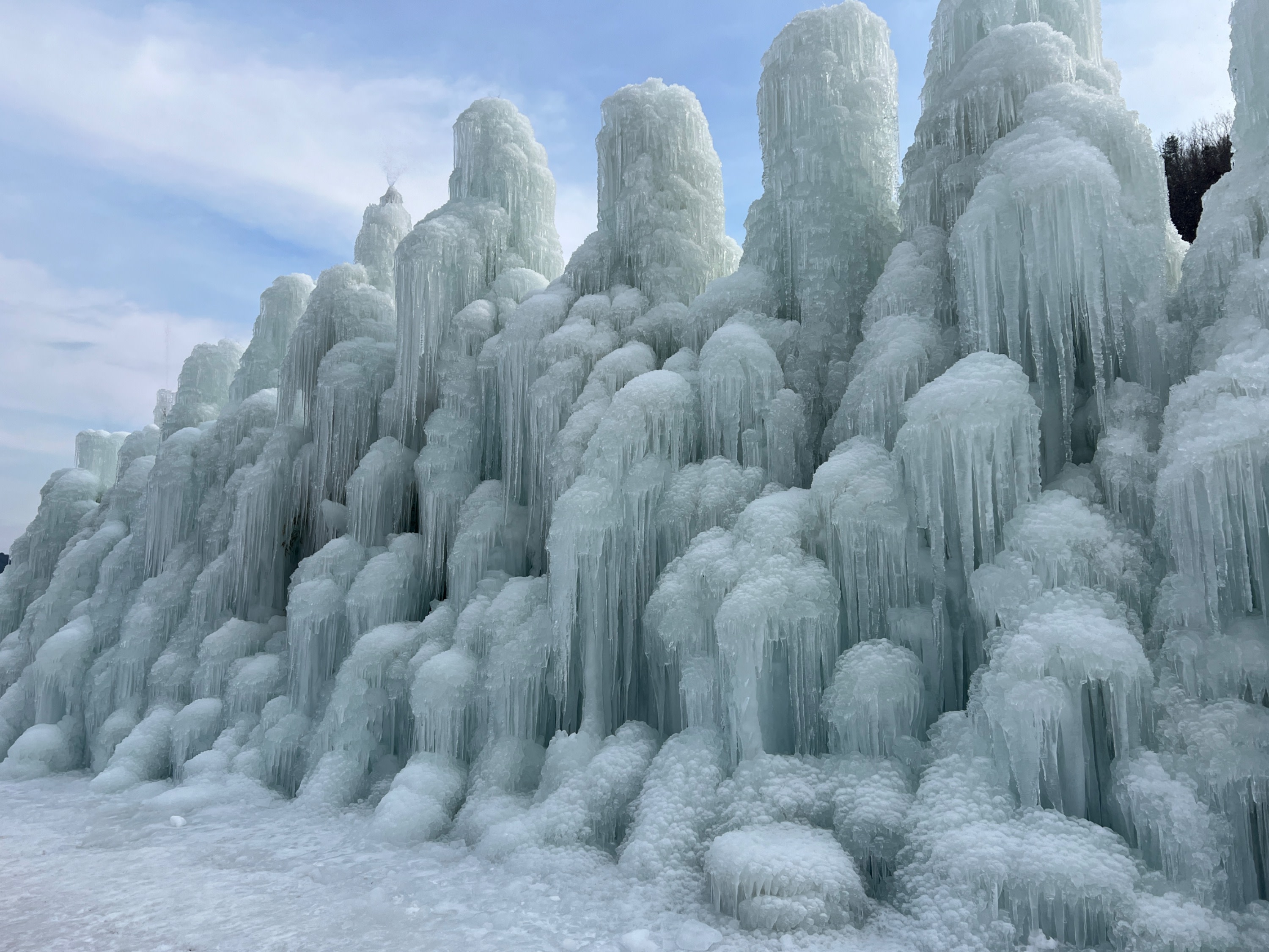 Sejong National Arboretum & Cheongyang Alps Village Tour from Seoul