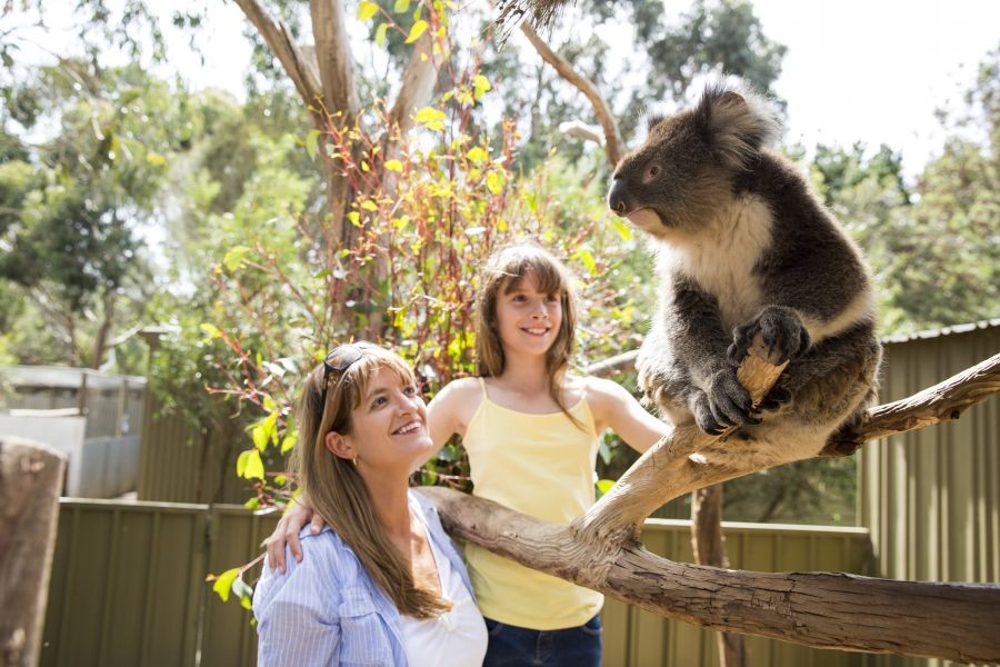 2-Day Ultimate Kangaroo Island Tour from Adelaide