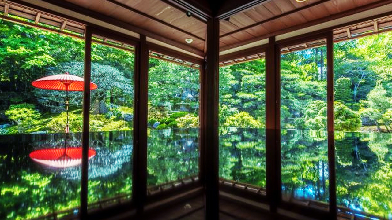 舊竹林院庭院綠意環繞,窗景與地面映出如鏡倒影,宛如一幅靜謐畫卷,是拍攝日式庭園鏡面美景的人氣地點。 舊竹林院庭院綠意環繞,窗景與地面映出如鏡倒影,宛如一幅靜謐畫卷,是拍攝日式庭園鏡面美景的人氣地點。