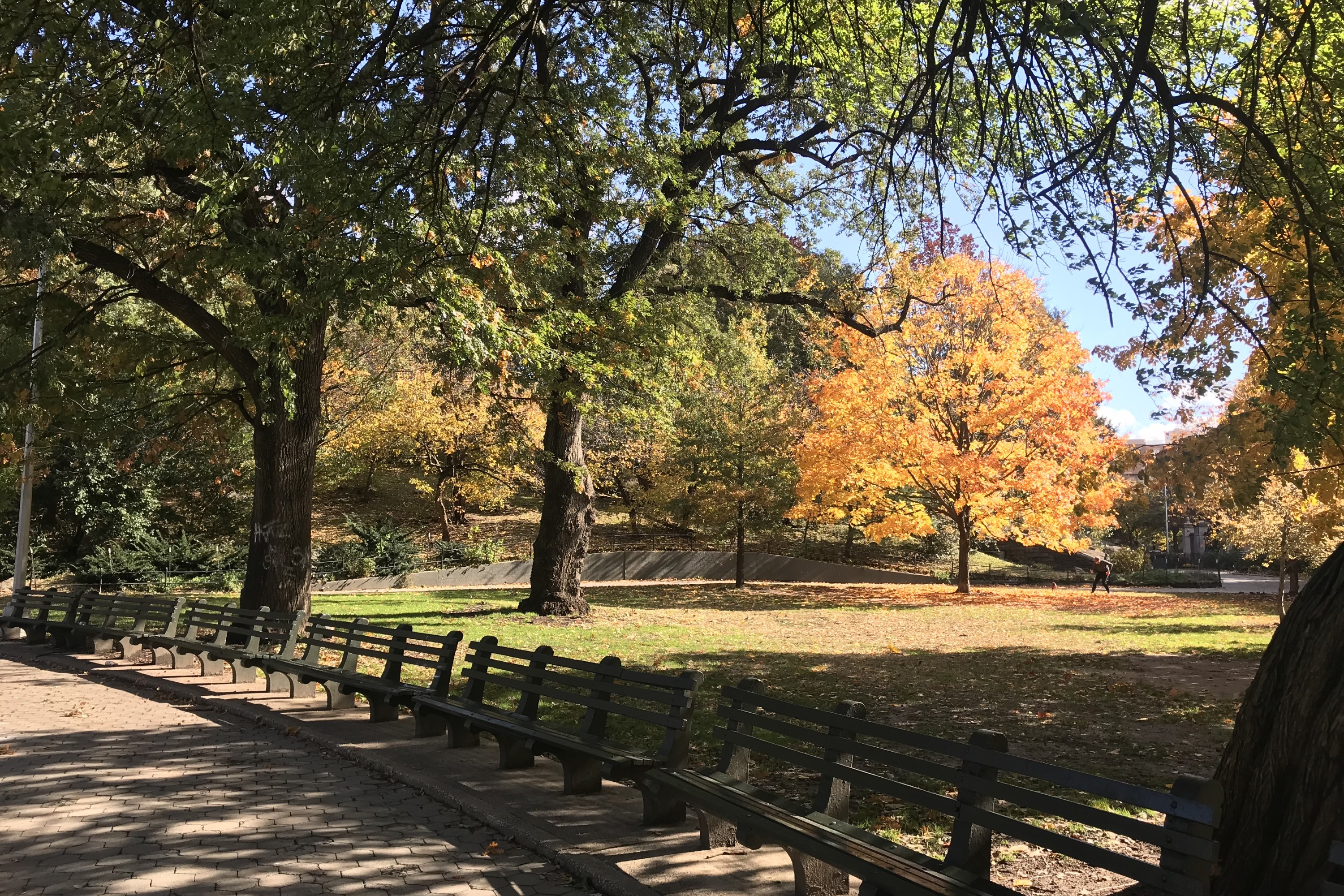 Mount Morris Park Historic Walking Tour