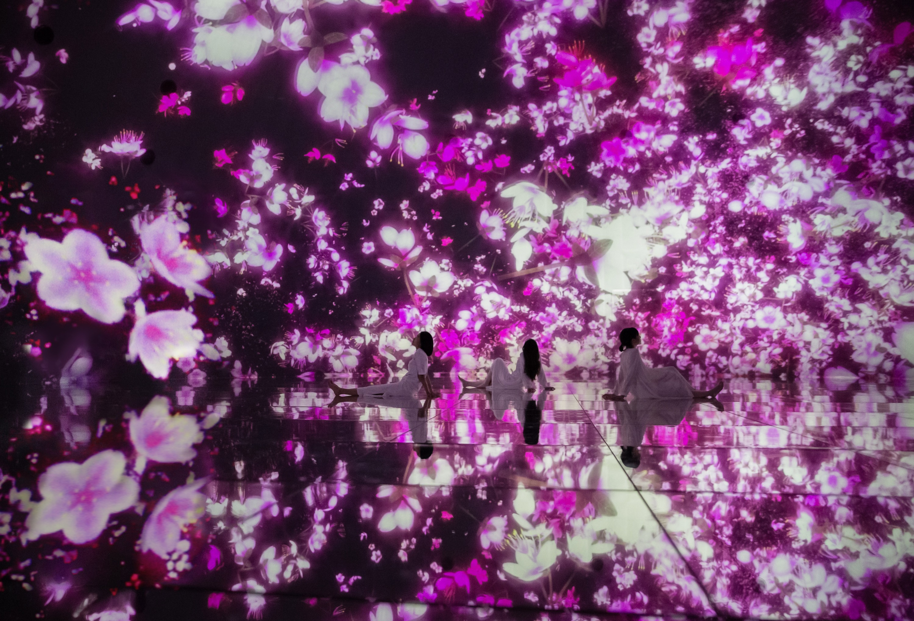 東京豐洲 teamLab Planets TOKYO 展覽門票