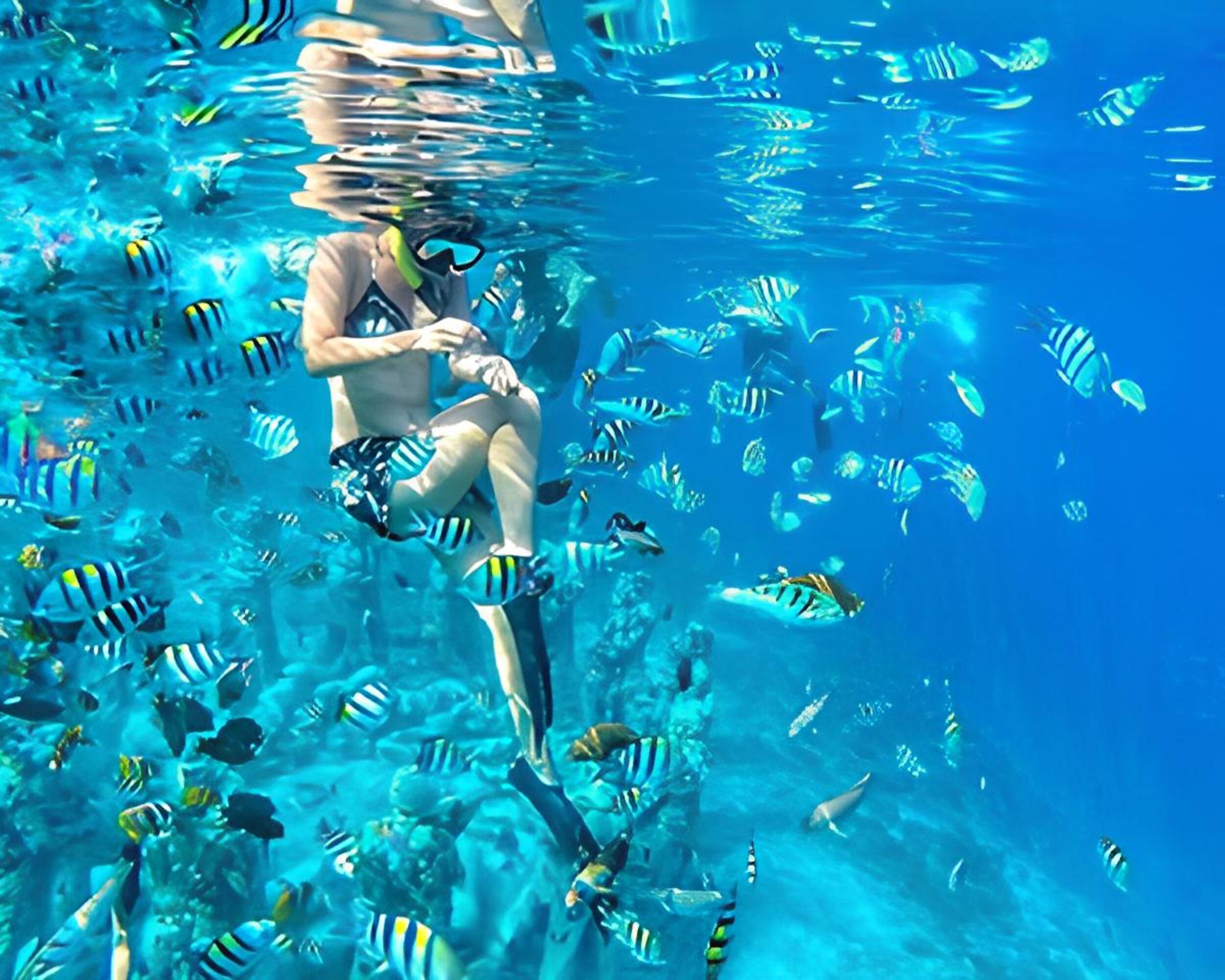 Half-Day Private Guided Snorkeling Tour in Gili Trawangan Lombok
