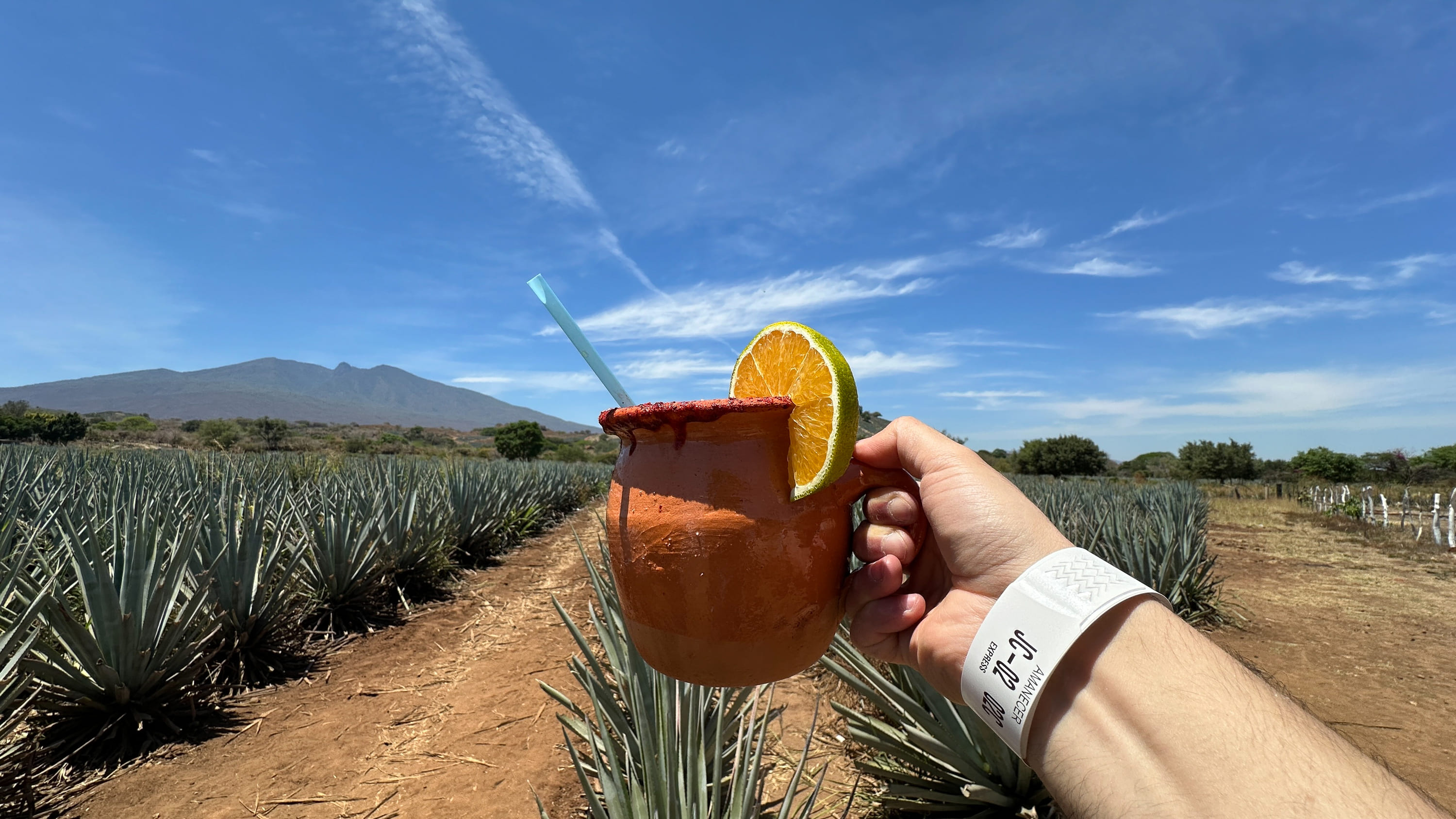 龍舌蘭酒傳統釀酒廠和 Jose Cuervo 導覽遊