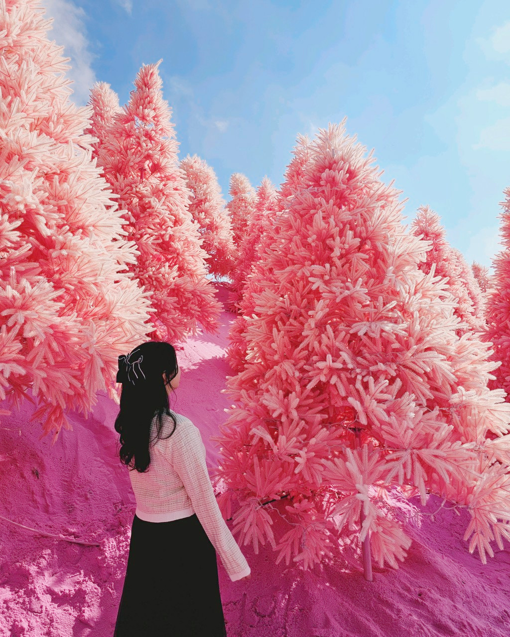 💗 粉紅天堂，為您的下一個 Instagram 貼文而生。