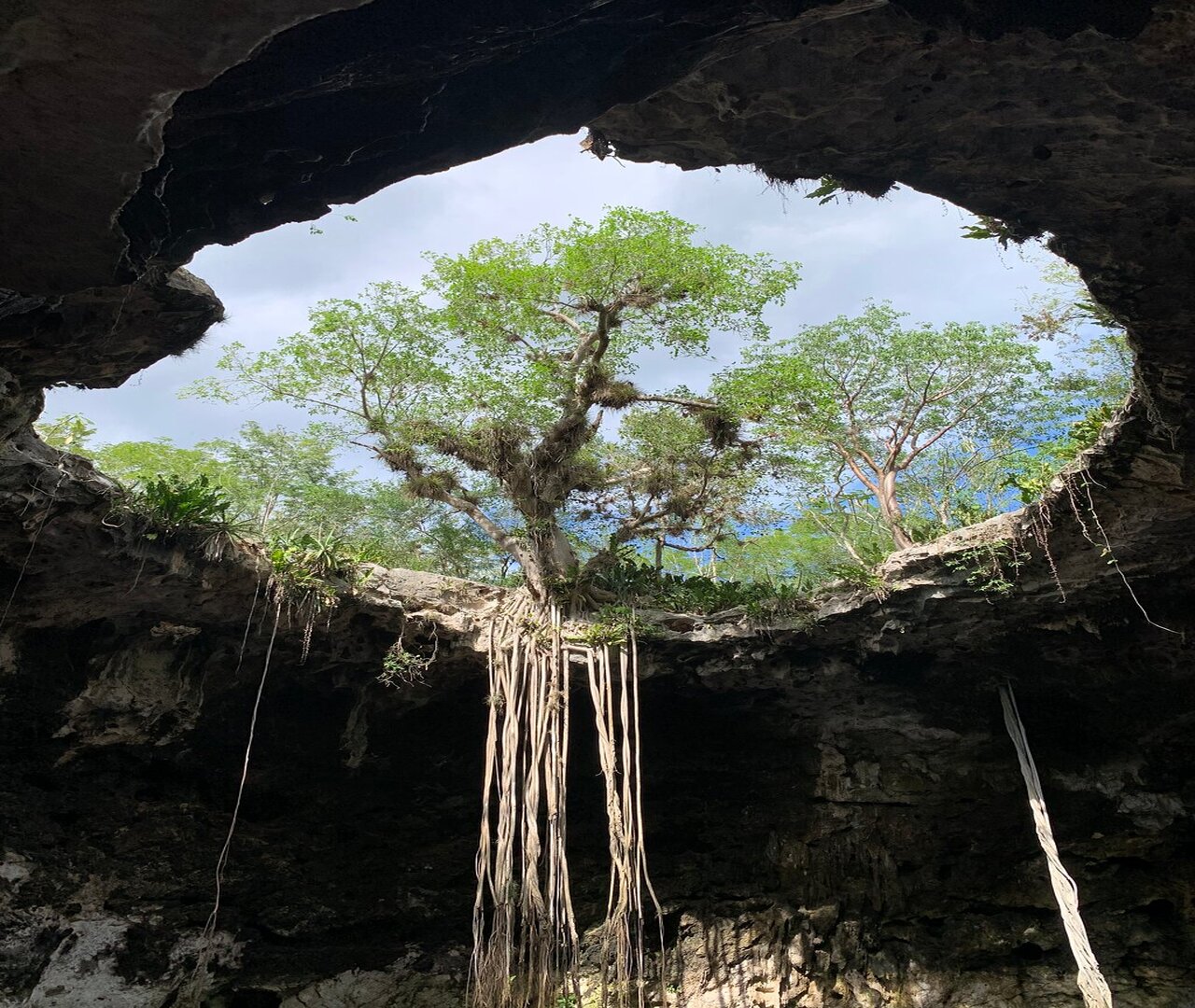 From Merida: 4 Cenotes and Acanceh zone with Lunch & Bikes