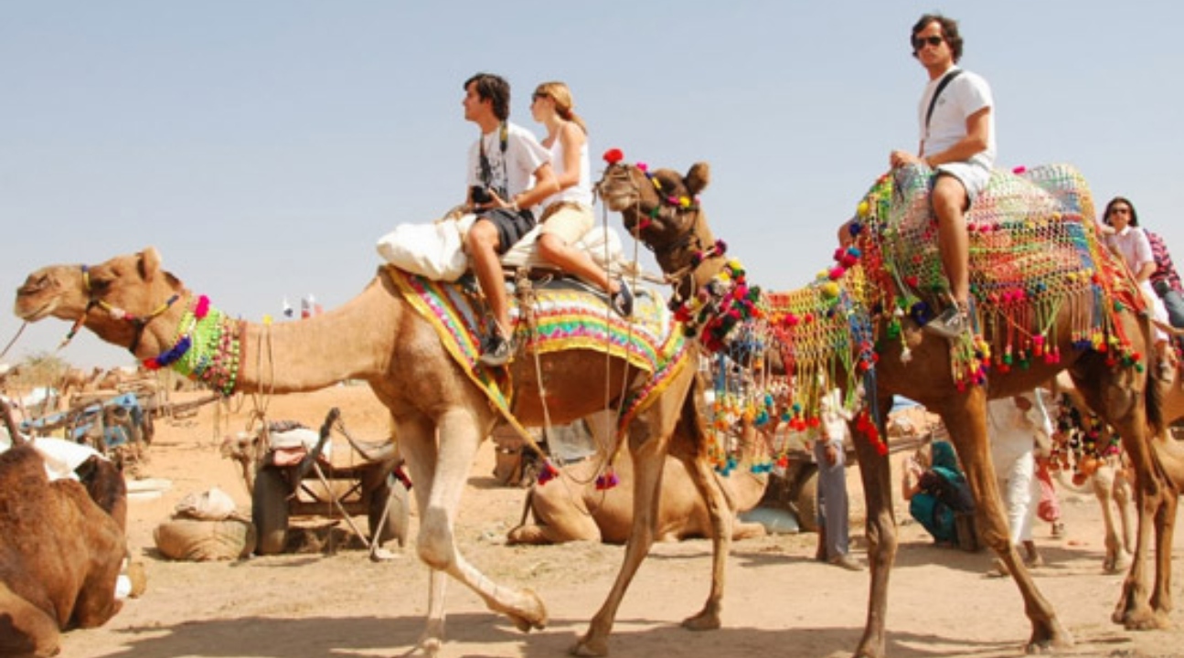 [SALE] Pushkar Sunset Camel Safari - Save 6% on Your Adventure - Ticket KD