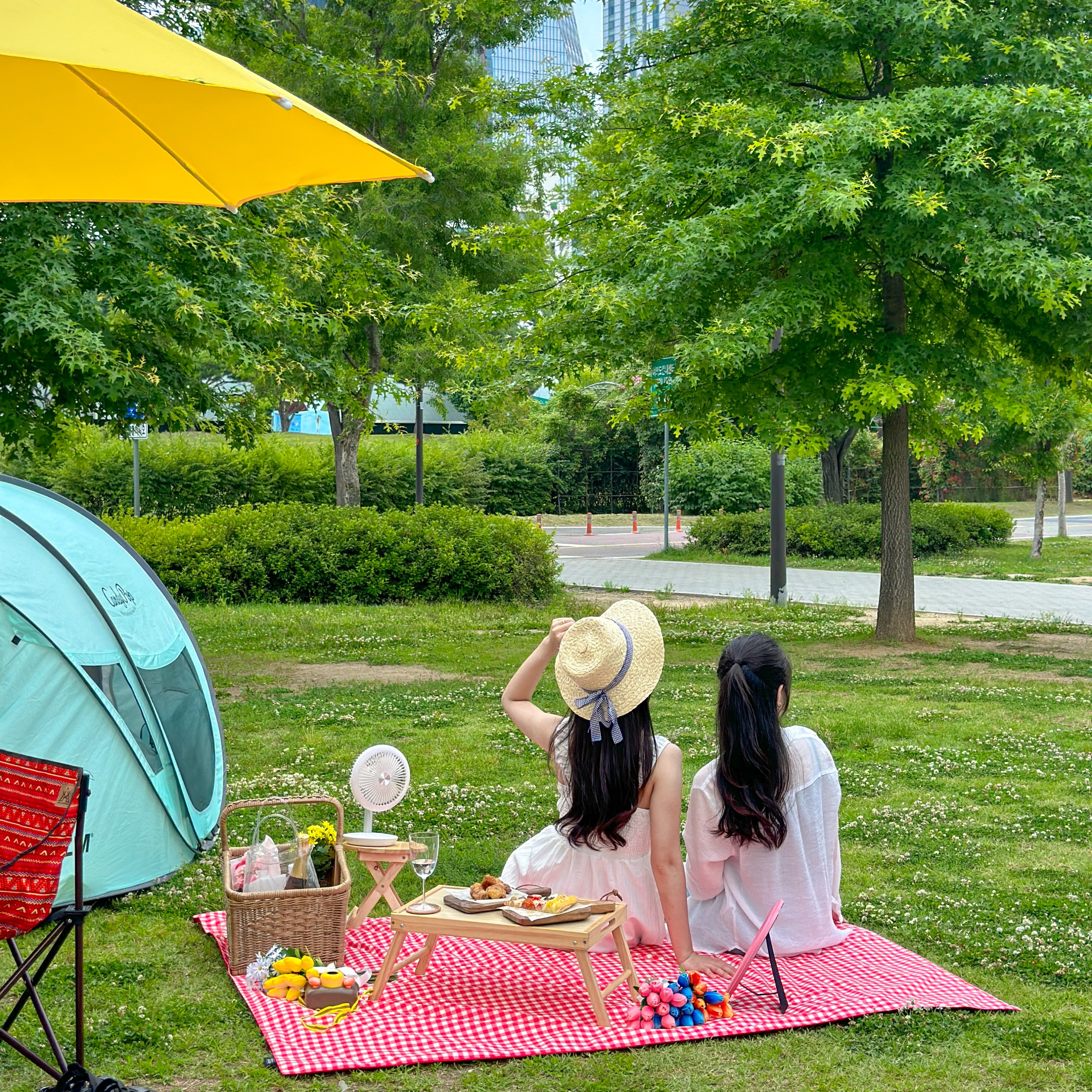 Picnic Equipment Rental Service at Han River in Seoul (Yeouido)