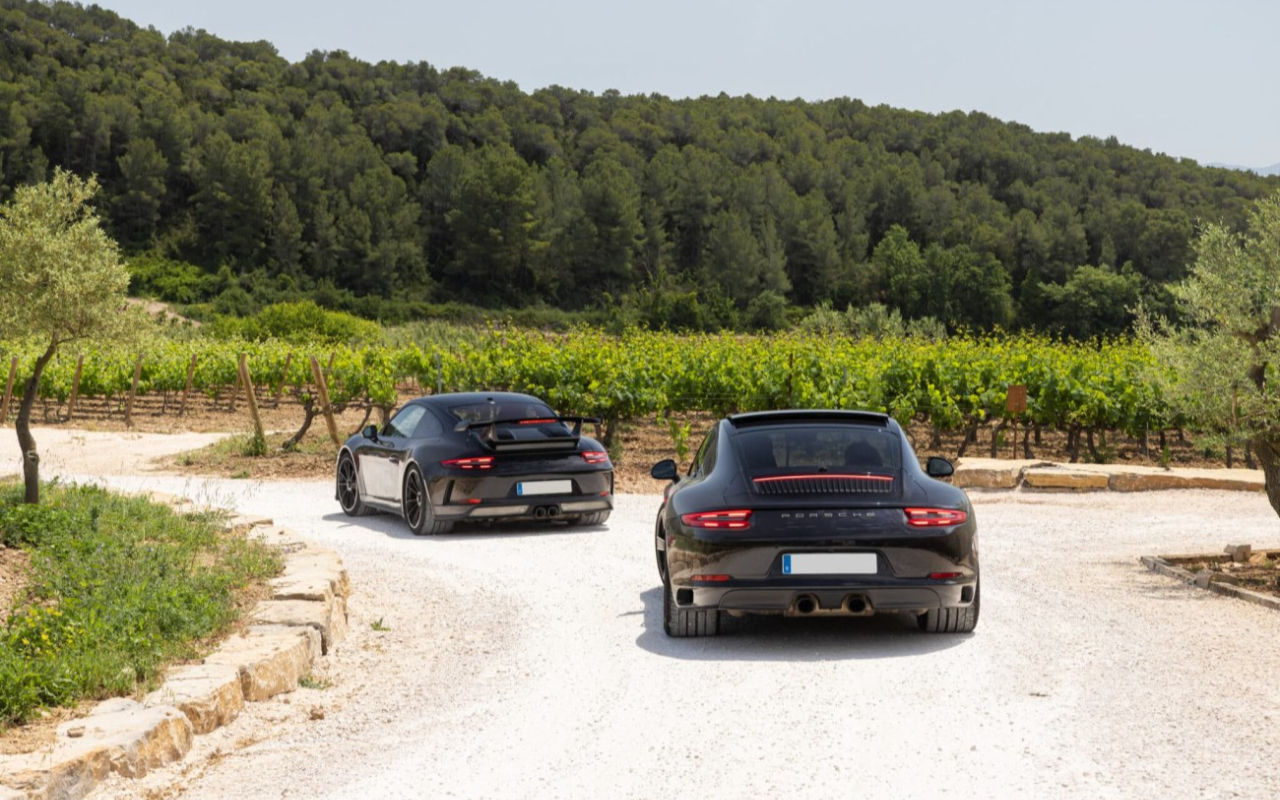 Supercar driving experience to Penedes vineyards