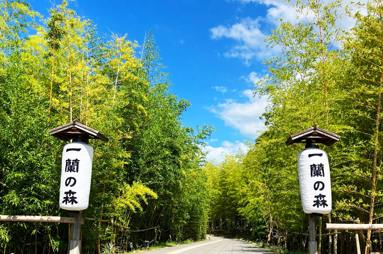 在一蘭之森中，還隱藏著許多自然奇觀。比如那巨大的岩石、奇特的樹形以及那清澈見底的溪流。每一處都充滿了大自然的神秘和魅力，讓你在探尋的過程中不斷髮出驚歎