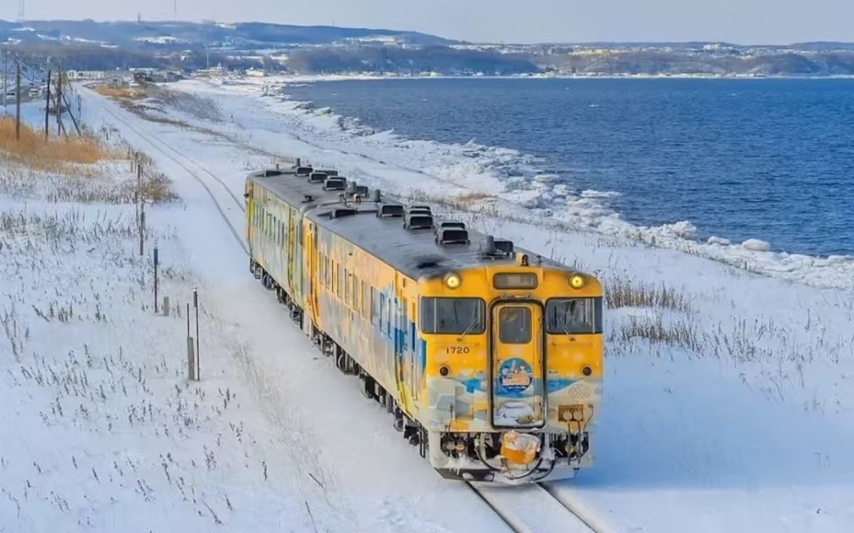 [Hokkaido Deep Otaru Leisurely Day Trip] Small group travel/Zenibako & Otaru Aquarium & Shukutsu Observatory & Otaru Shopping Street & Tenguyama (Departure from Sapporo Station)