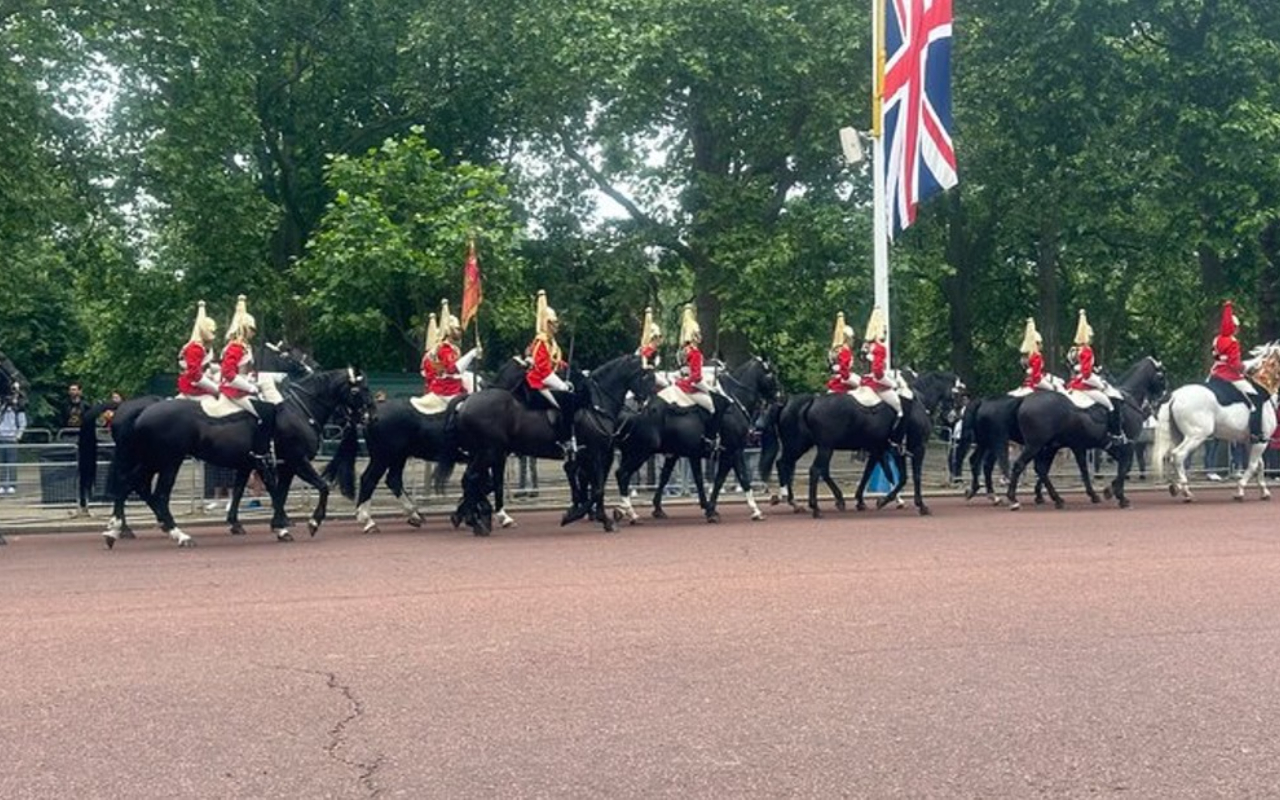 Changing of the Guard private black cab tour in London