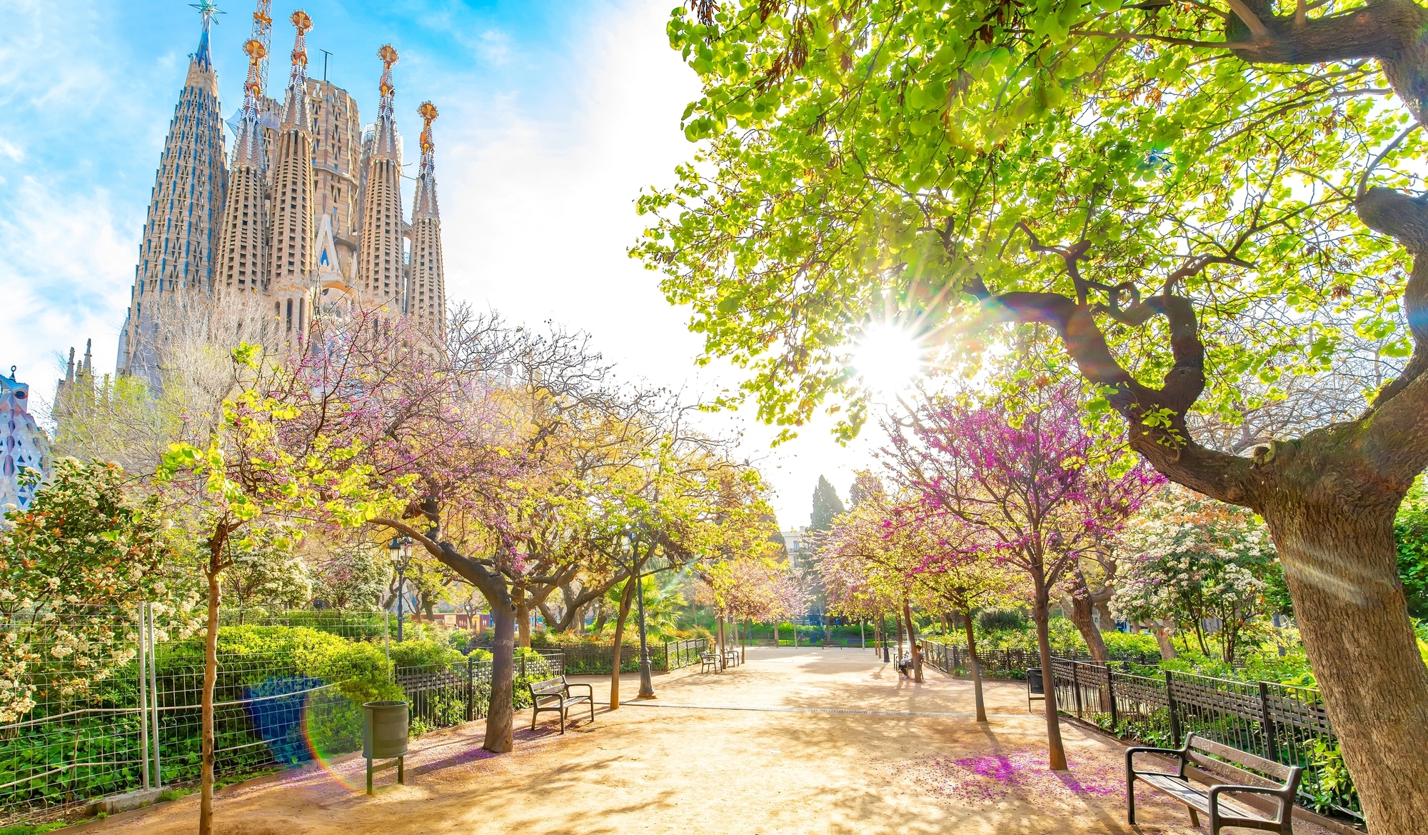 The Best of Barcelona in 2 Hours