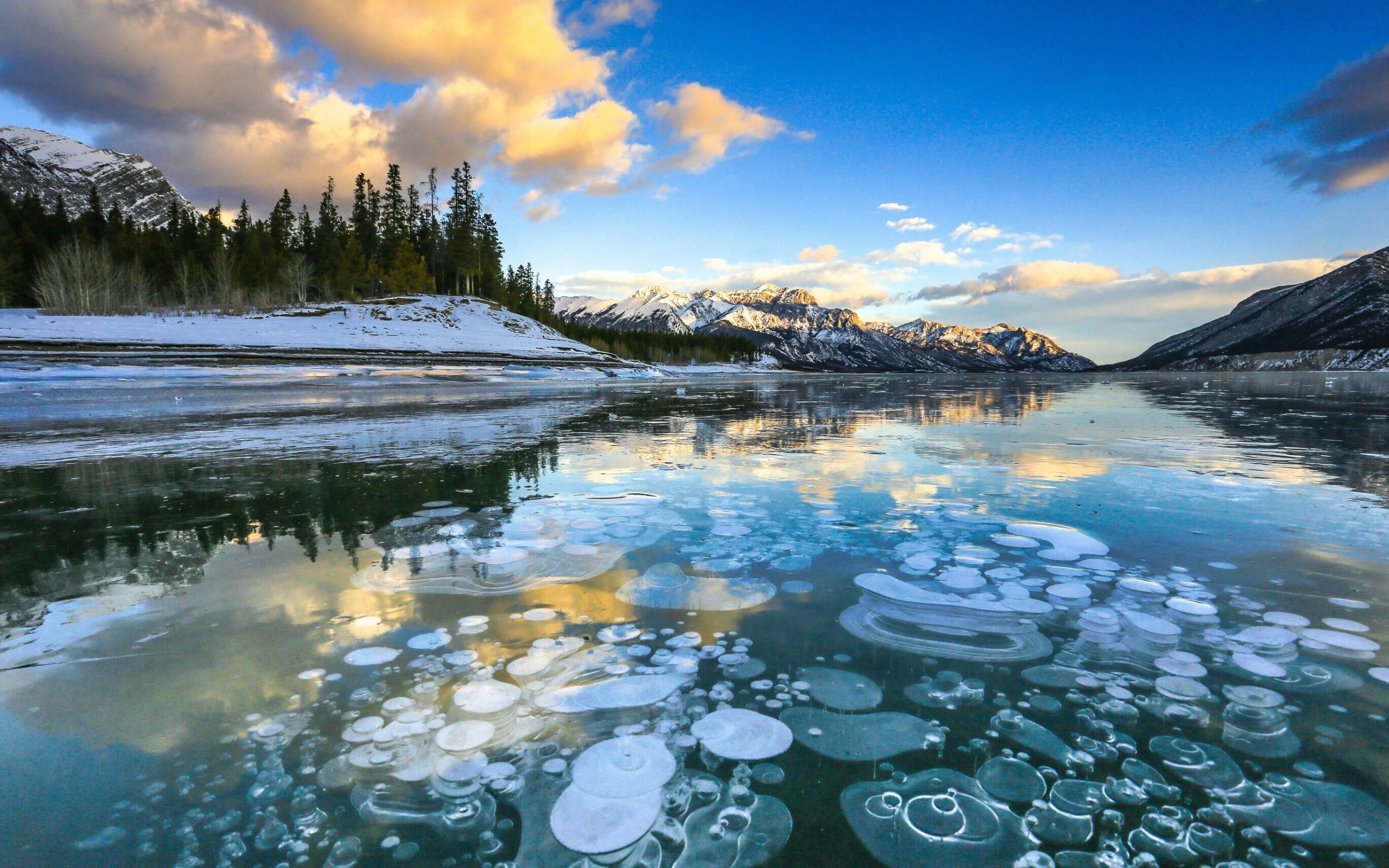 Lake Louise & Abraham Lake One-Day Tour from Calgary