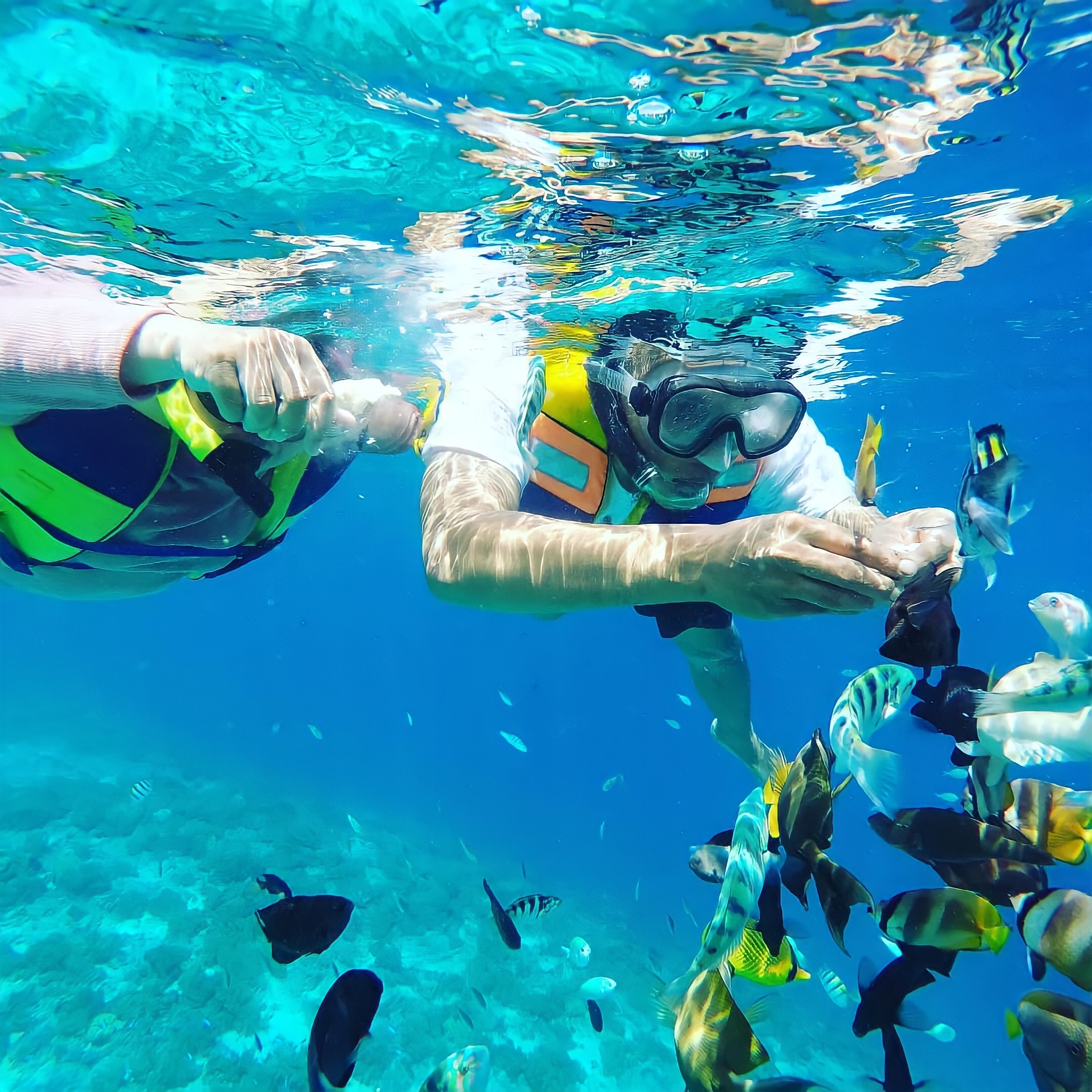 龍目島Gili Air島浮潛之旅