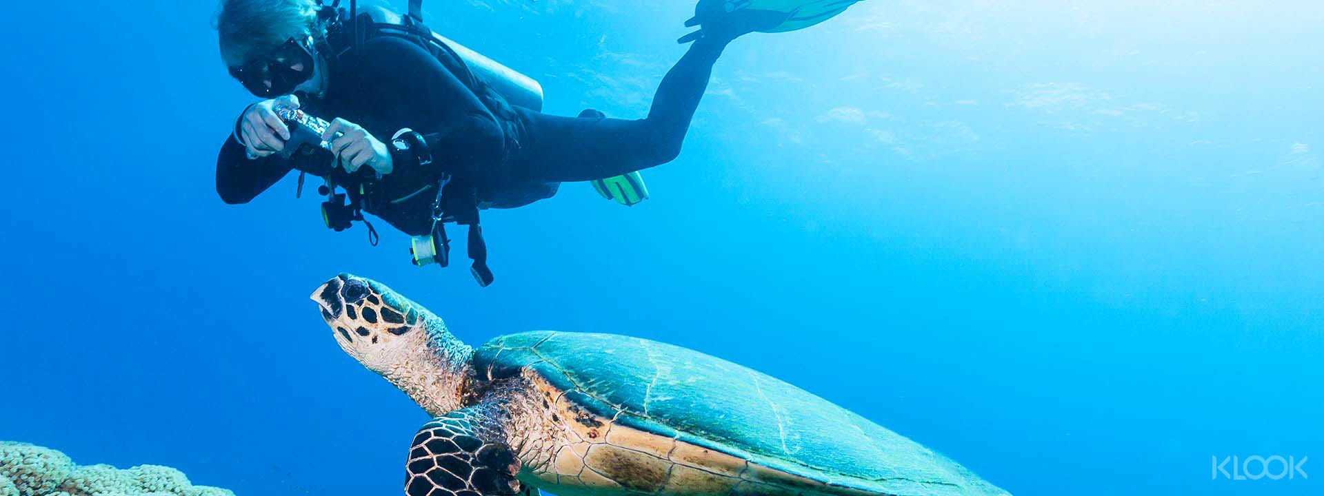 Trou aux Biches Scuba Diving Adventure