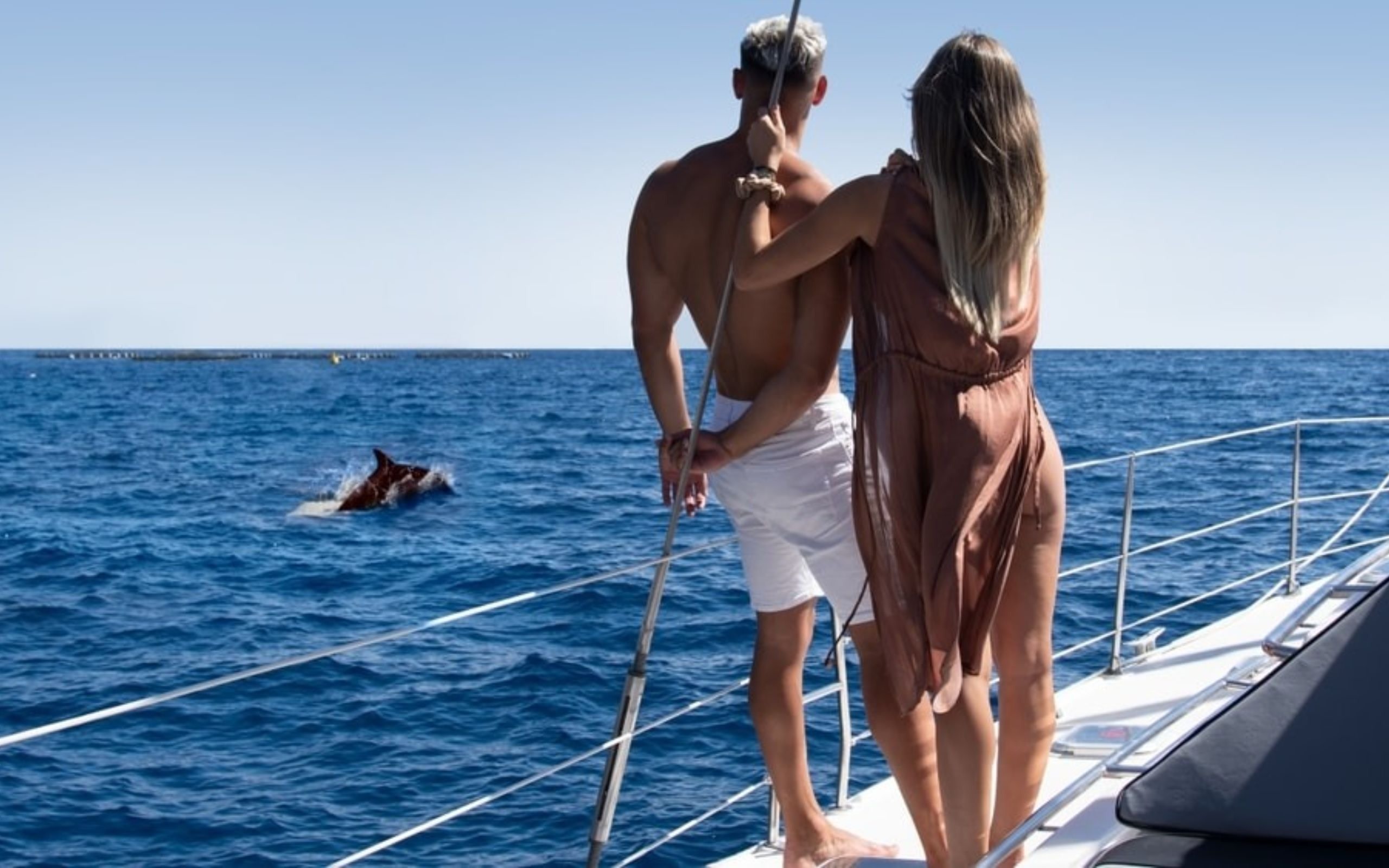 Whale and dolphin watching experience in Costa Adeje