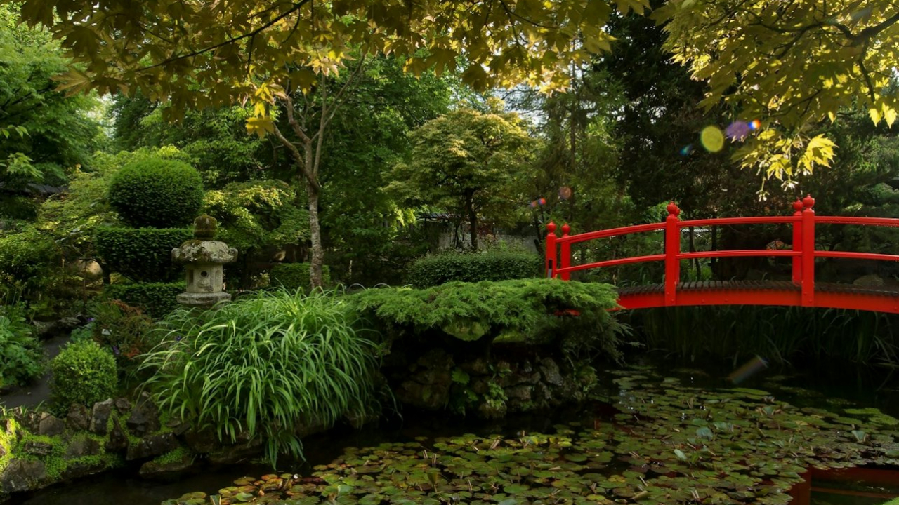 愛爾蘭國家種馬場和花園門票
