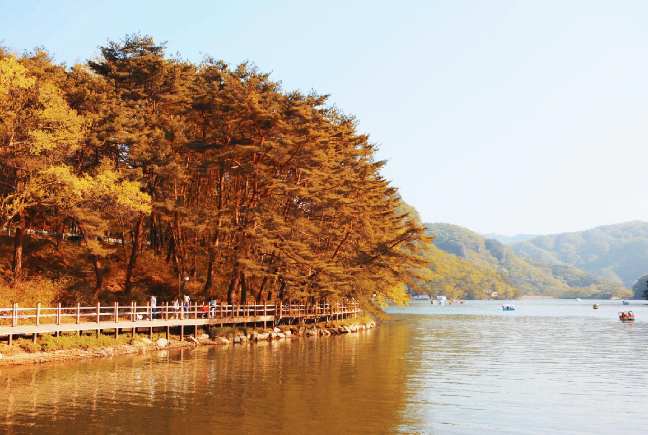 浦川 & 季節性熱門景點一日遊